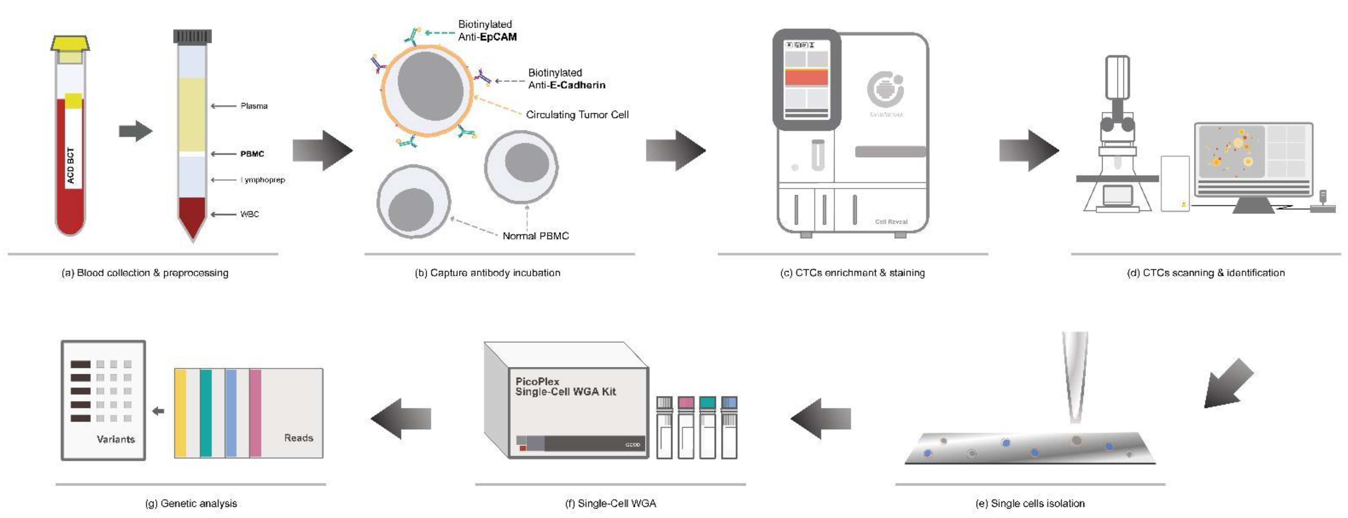 Ijms 24 02300 g008 Ijms 24 02300 g008