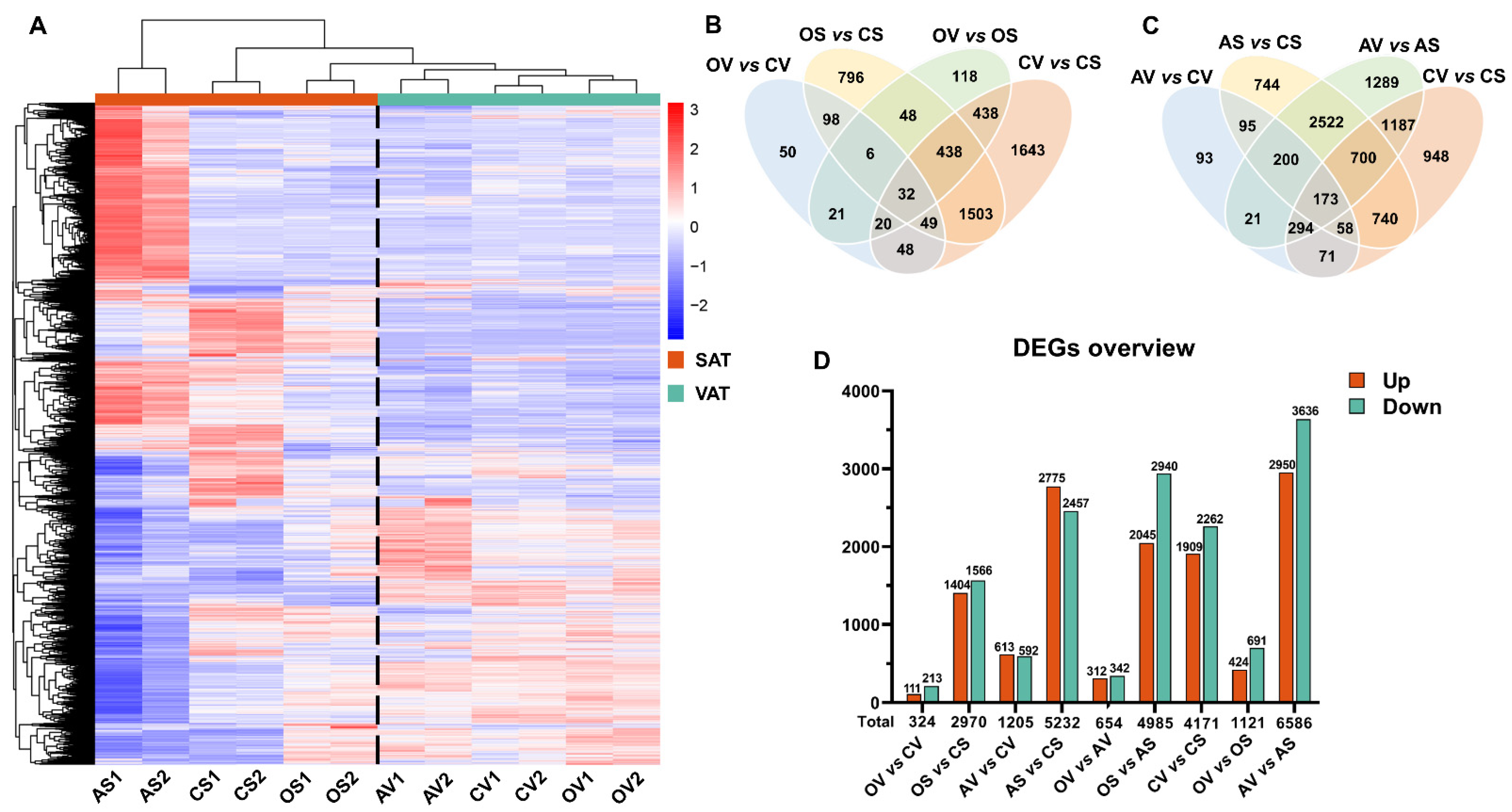 Ijms 24 02308 g002 Ijms 24 02308 g002