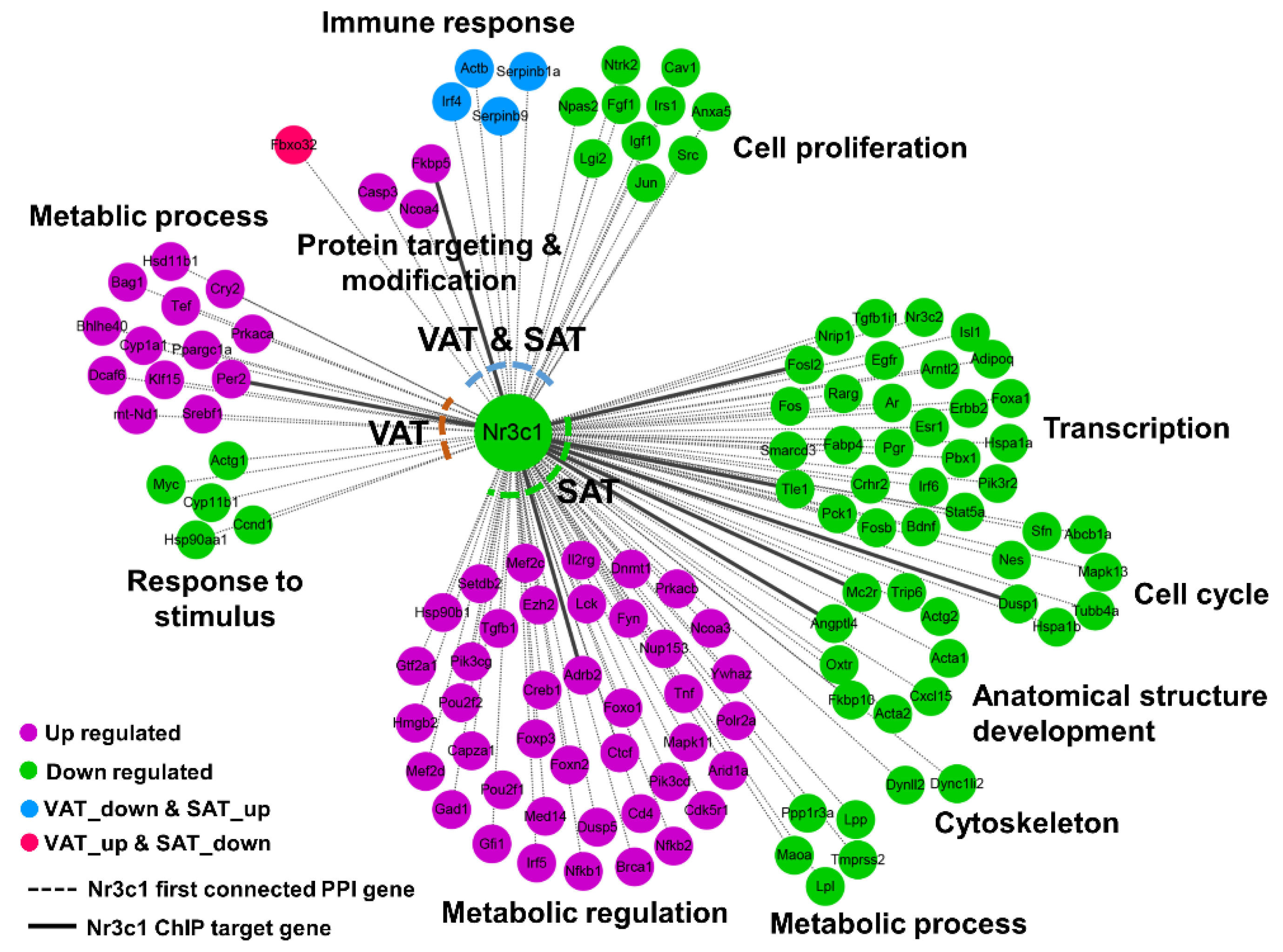 Ijms 24 02308 g004 Ijms 24 02308 g004