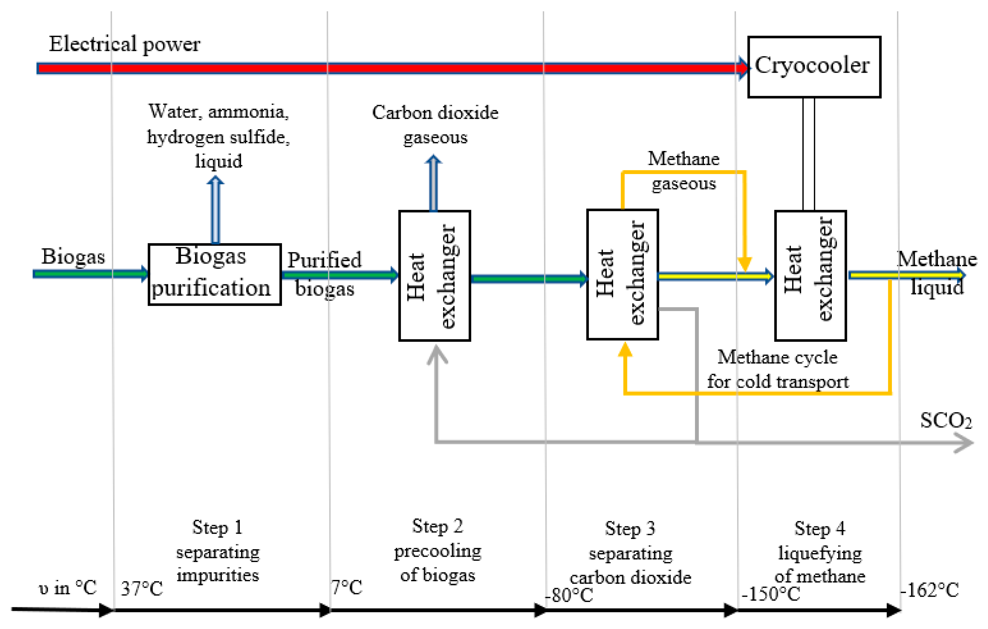 Ijms 24 02324 g005 Ijms 24 02324 g005