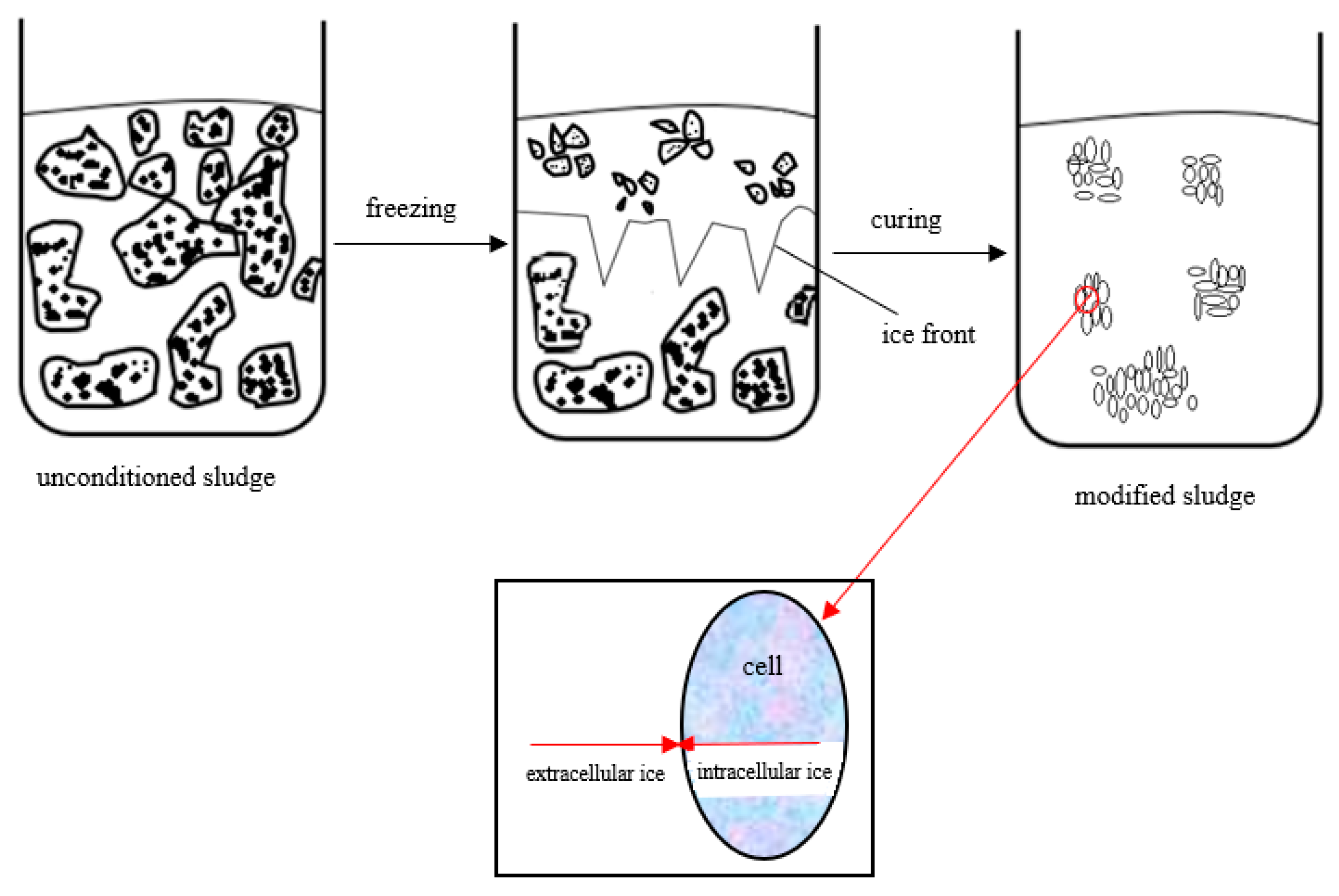 Ijms 24 02324 g007 Ijms 24 02324 g007