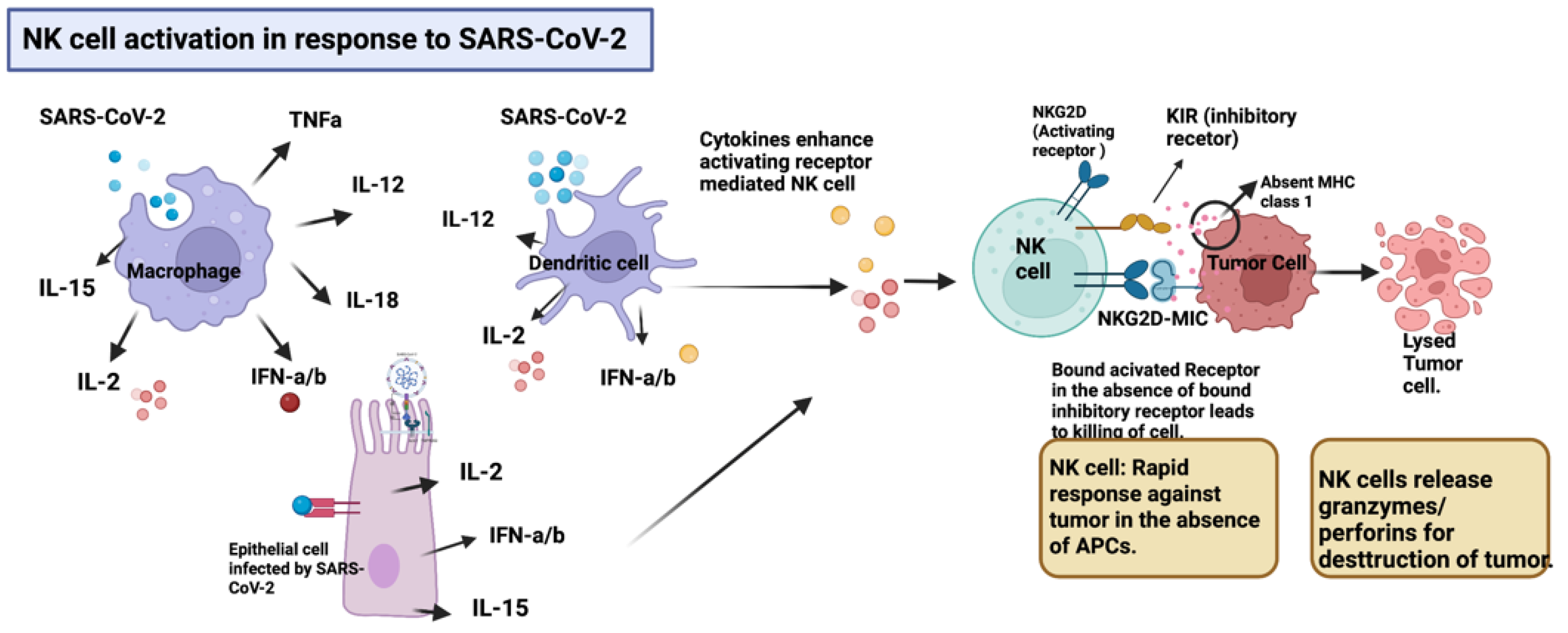 Ijms 24 02326 g001 550