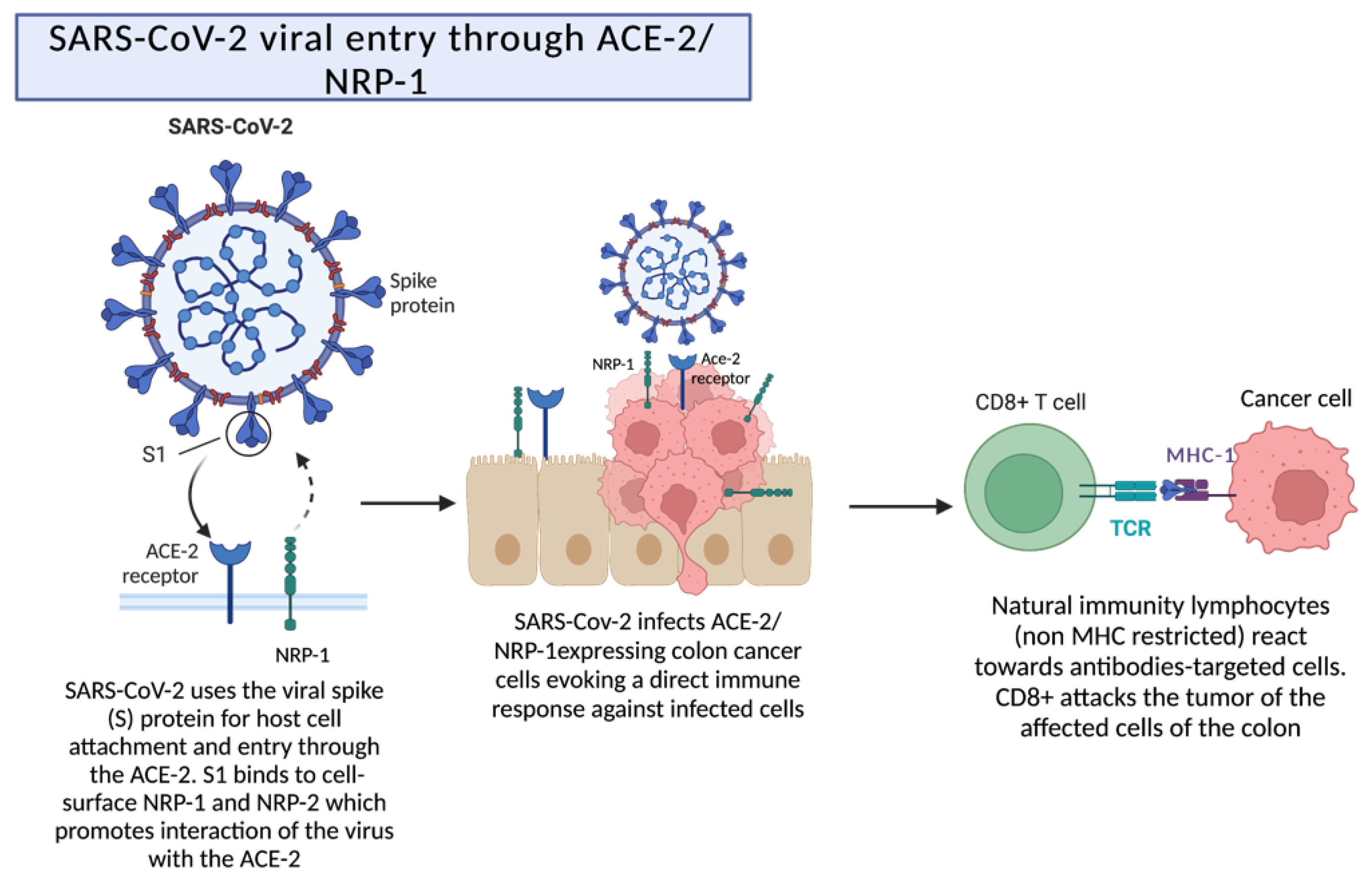 Ijms 24 02326 g002 550