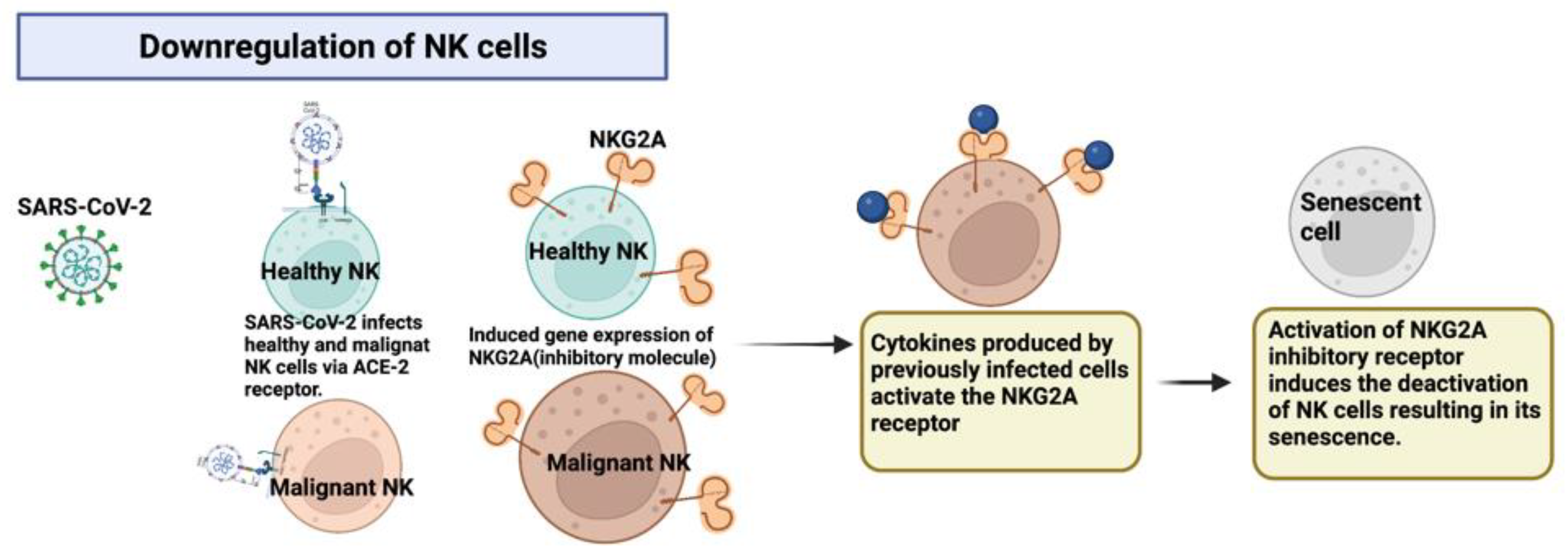 Ijms 24 02326 g003 550