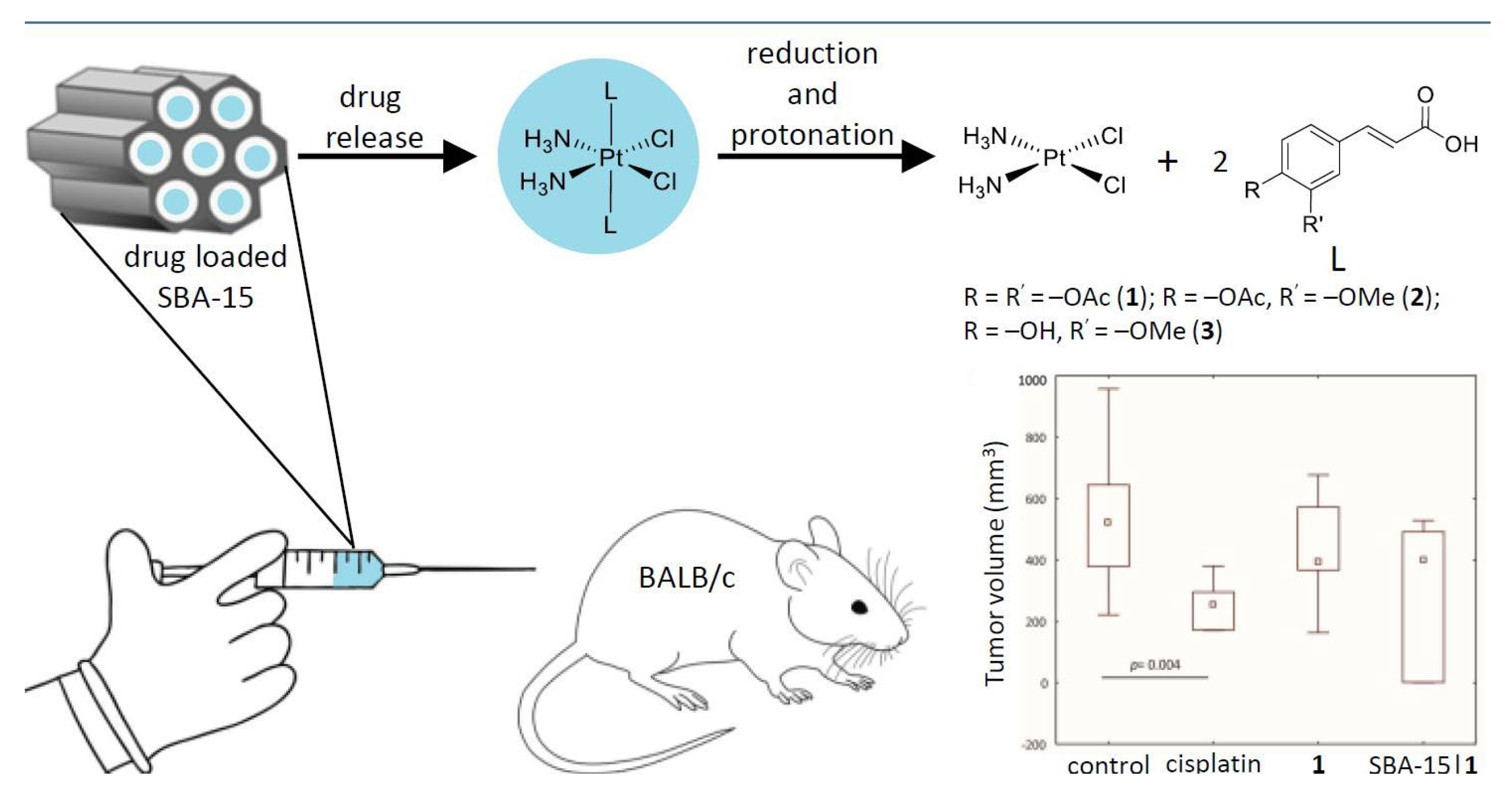 Ijms 24 02332 g003 Ijms 24 02332 g003