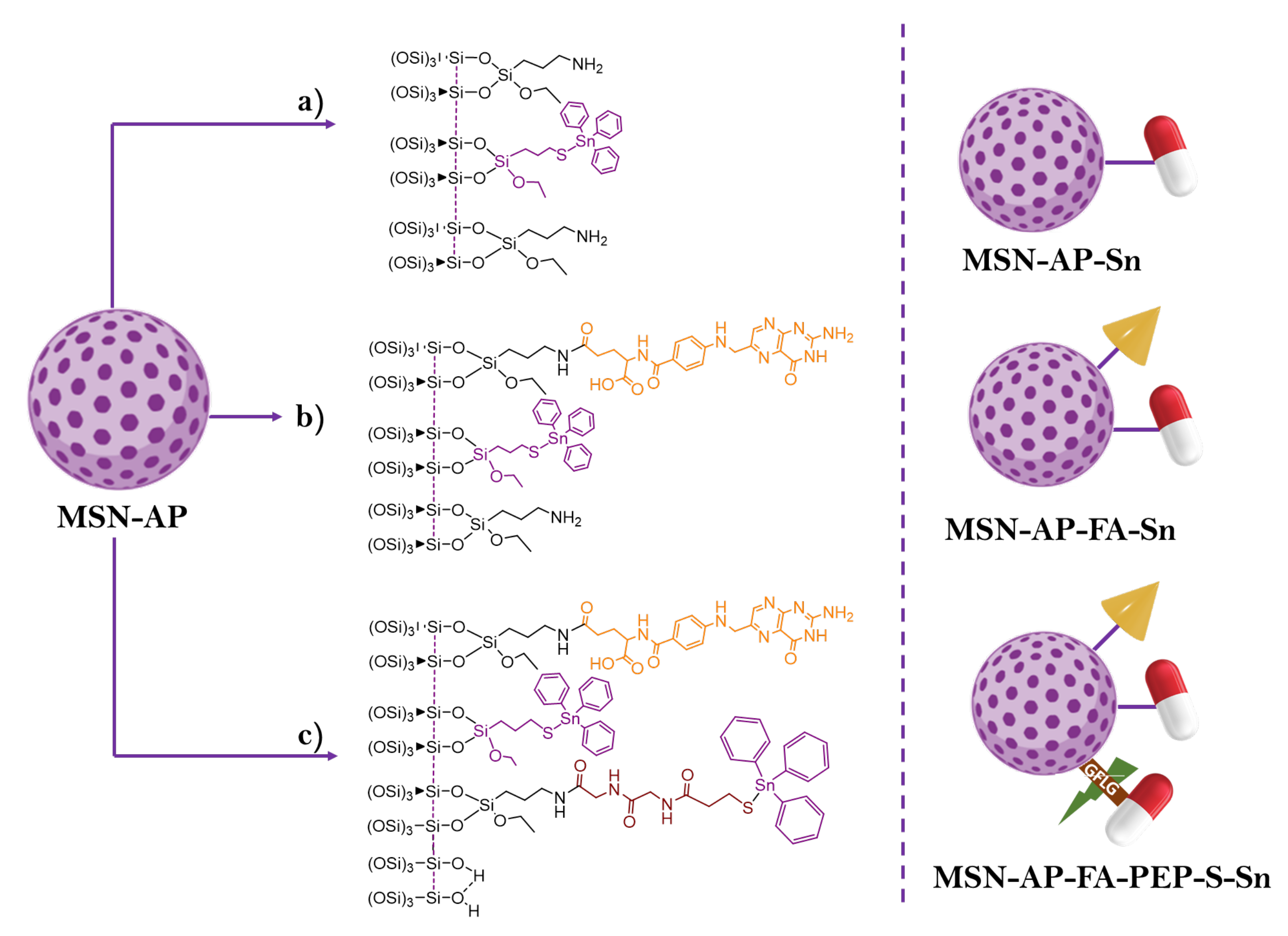 Ijms 24 02332 g009 Ijms 24 02332 g009