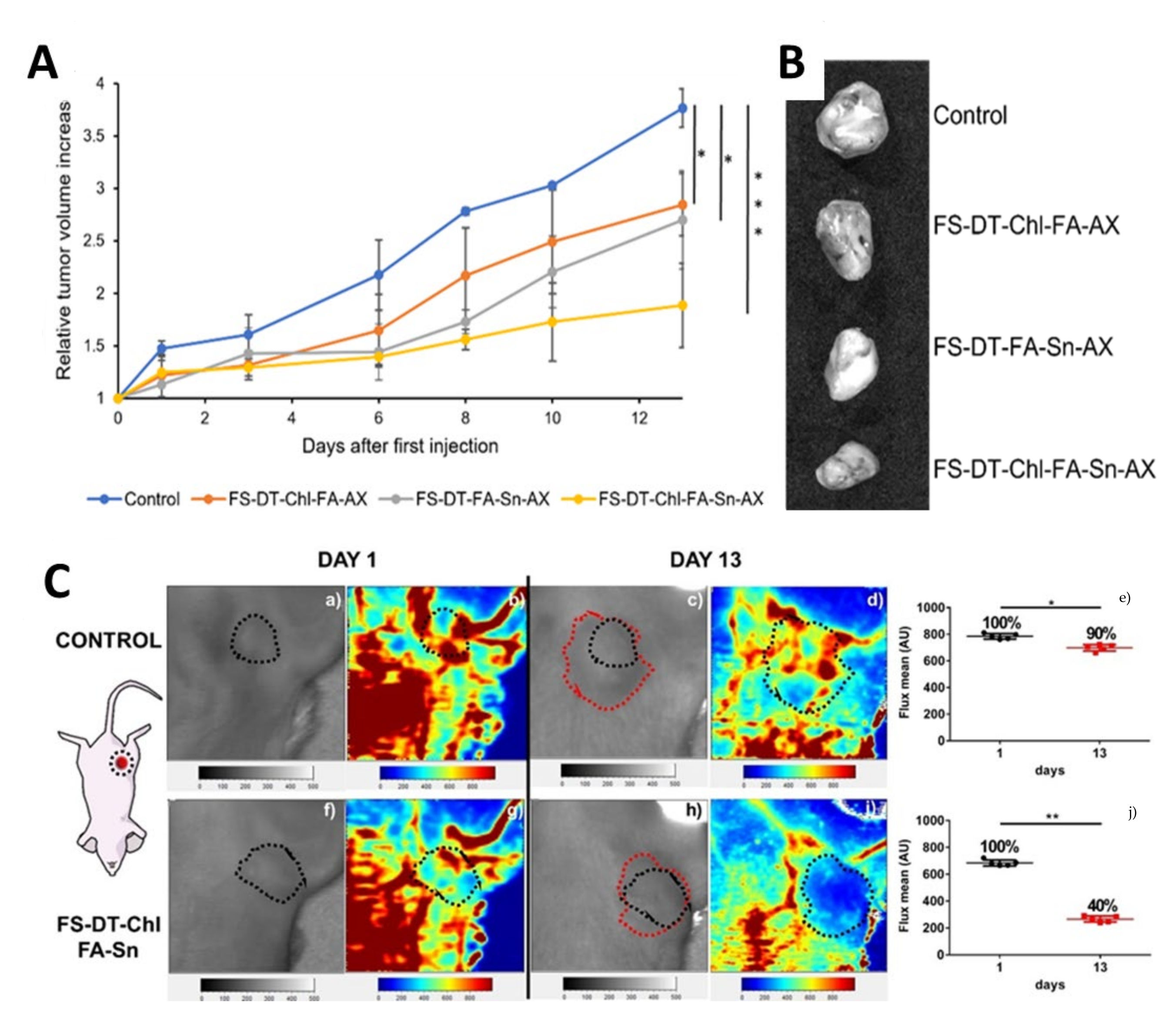 Ijms 24 02332 g010 Ijms 24 02332 g010