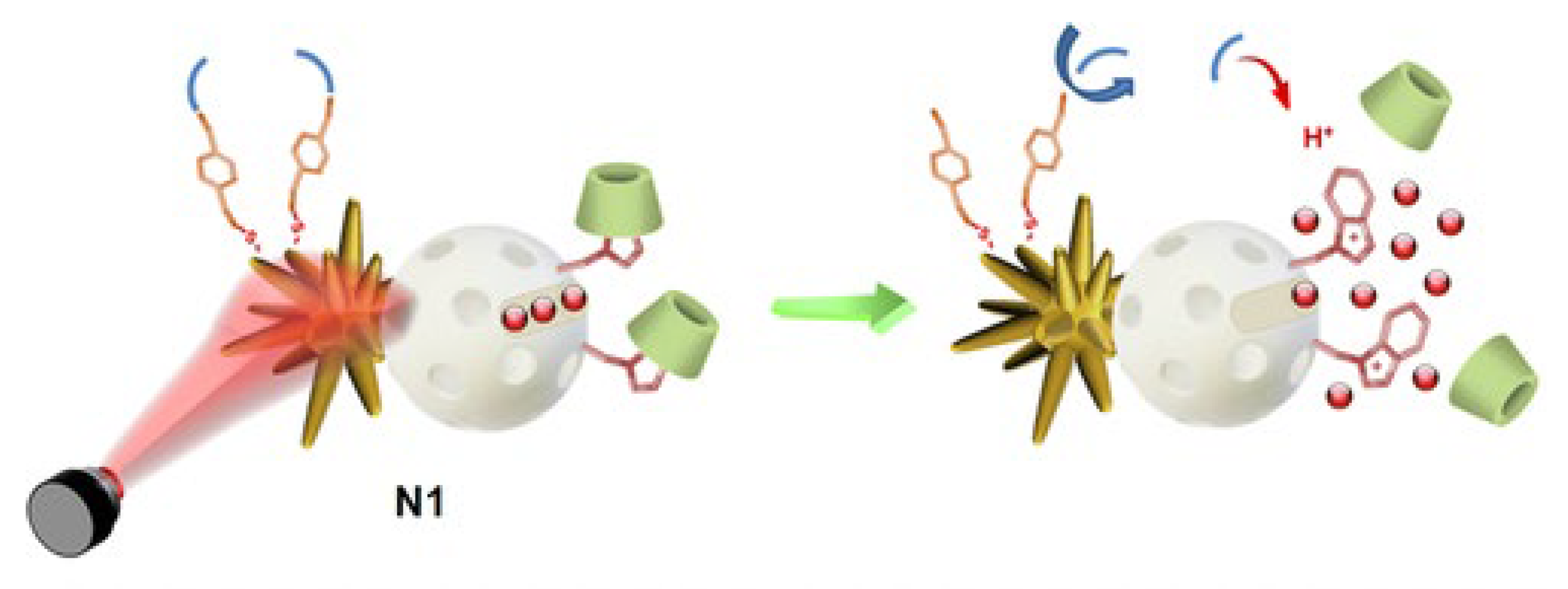 Ijms 24 02332 g012 Ijms 24 02332 g012