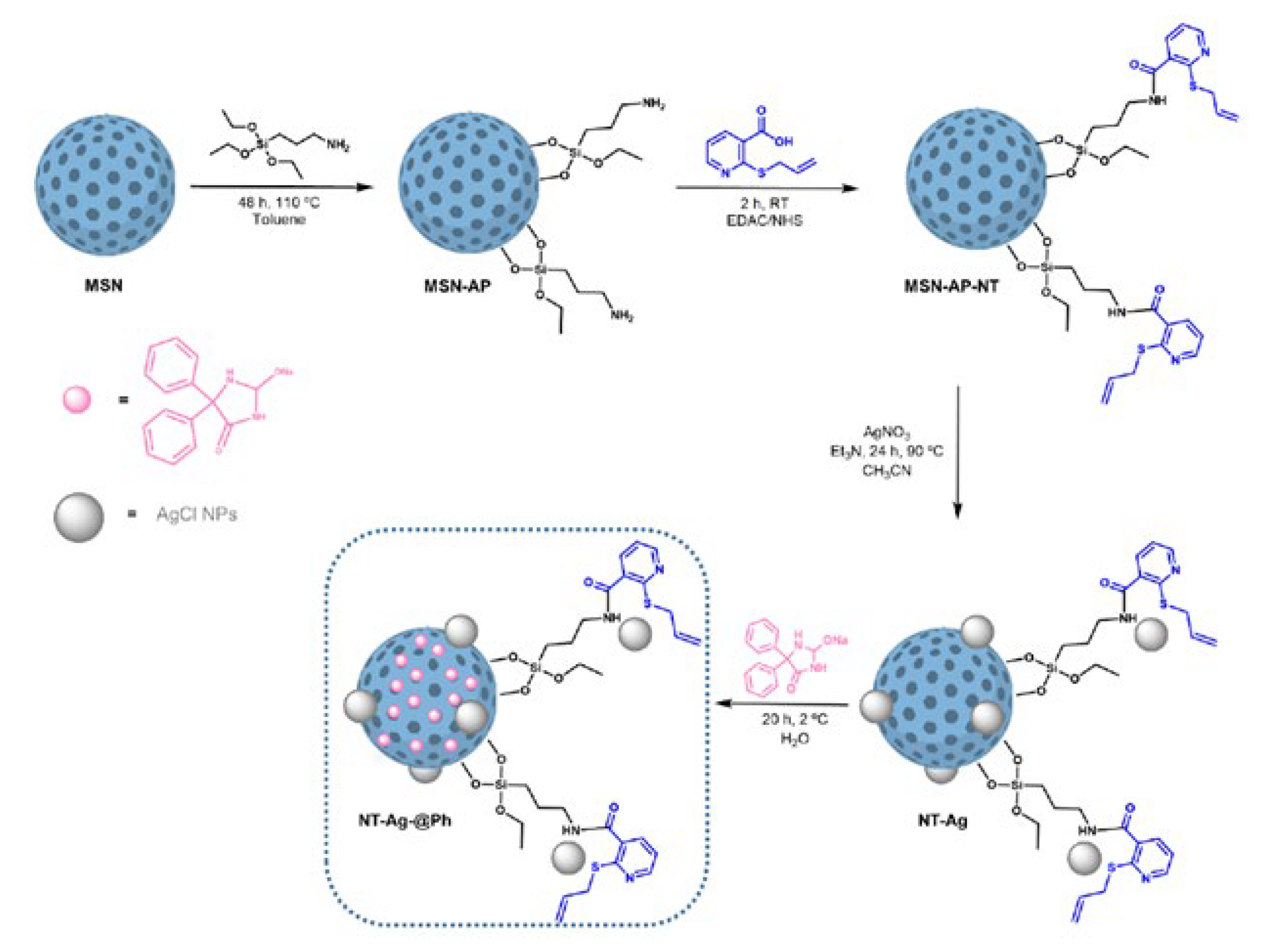 Ijms 24 02332 g013 Ijms 24 02332 g013