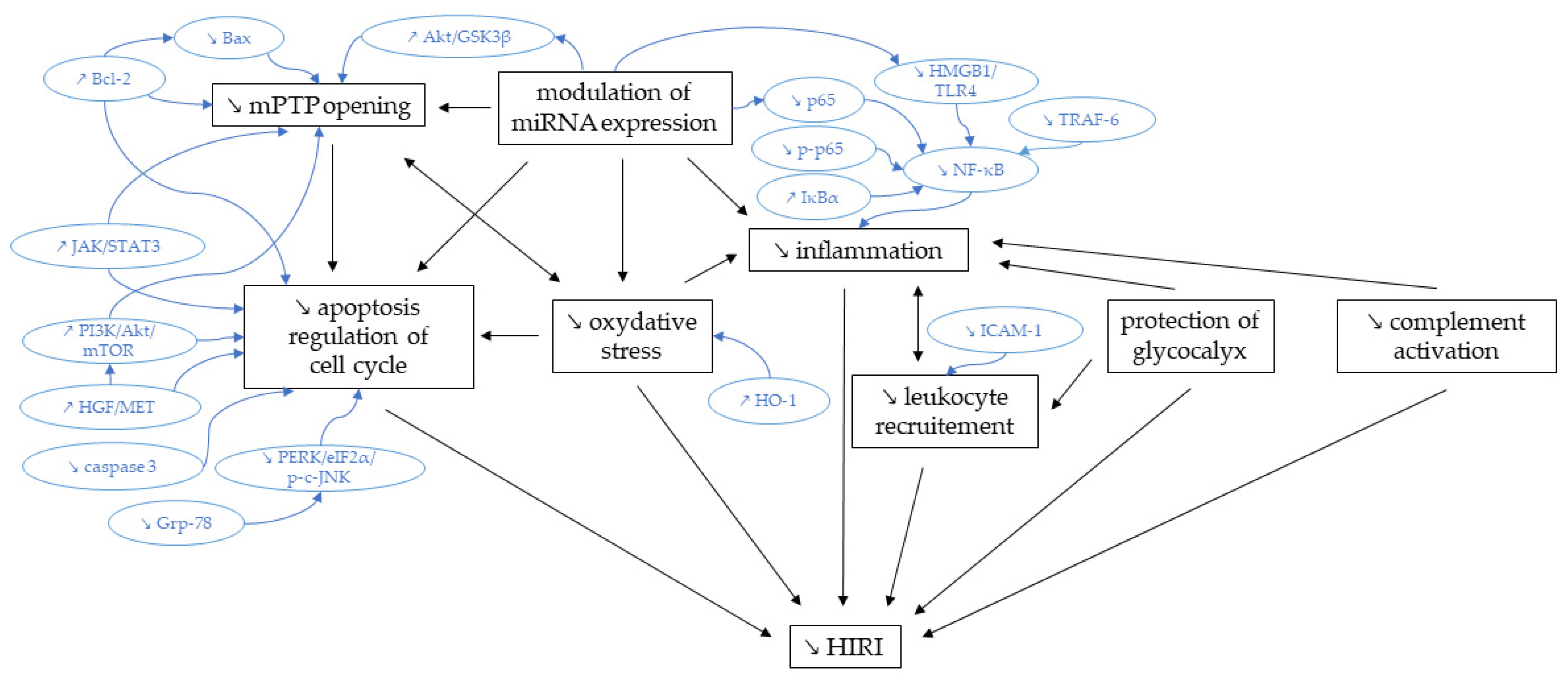 Ijms 24 02340 g002 Ijms 24 02340 g002