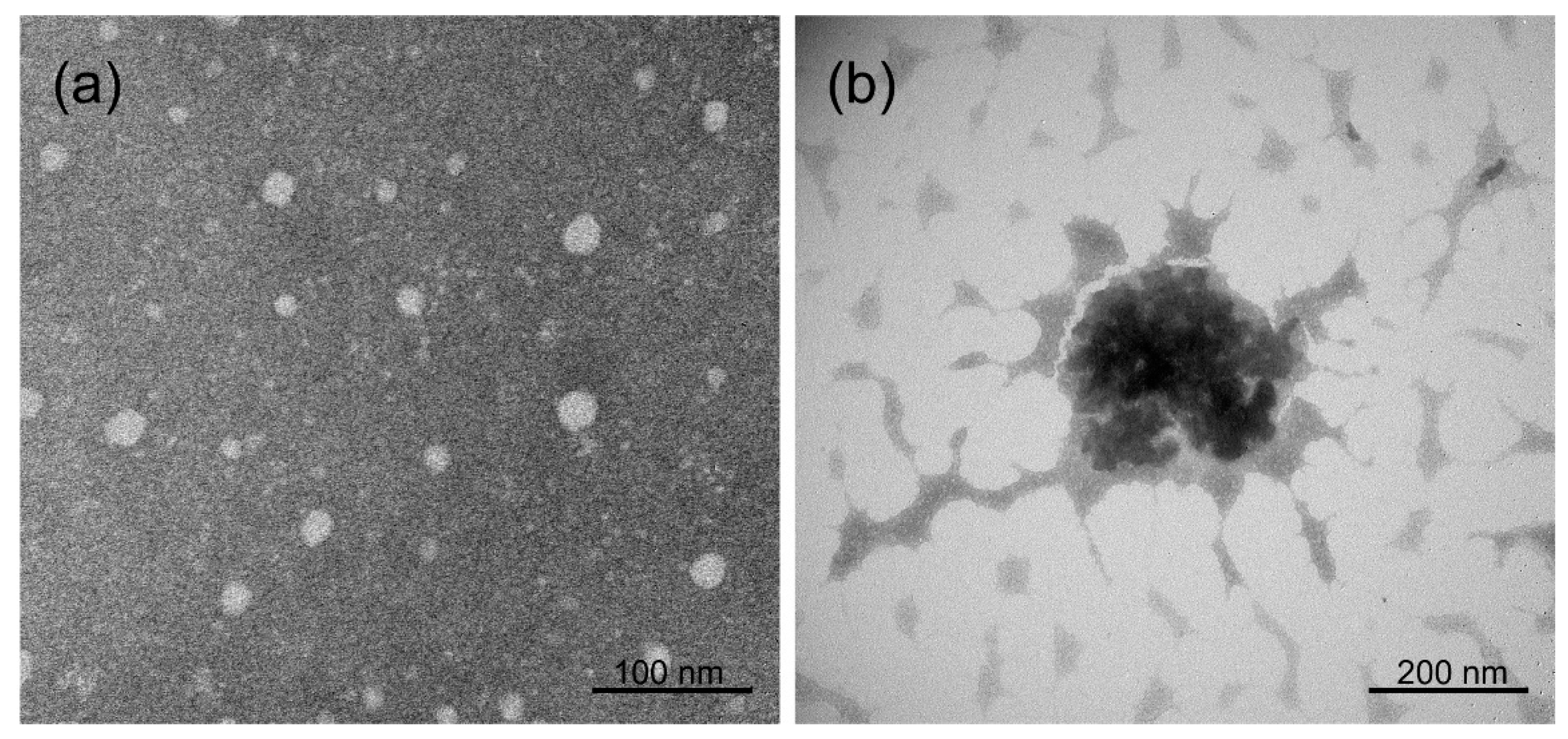 Ijms 24 02343 g002 Ijms 24 02343 g002