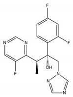 Ijms 24 02343 i001 Ijms 24 02343 i001