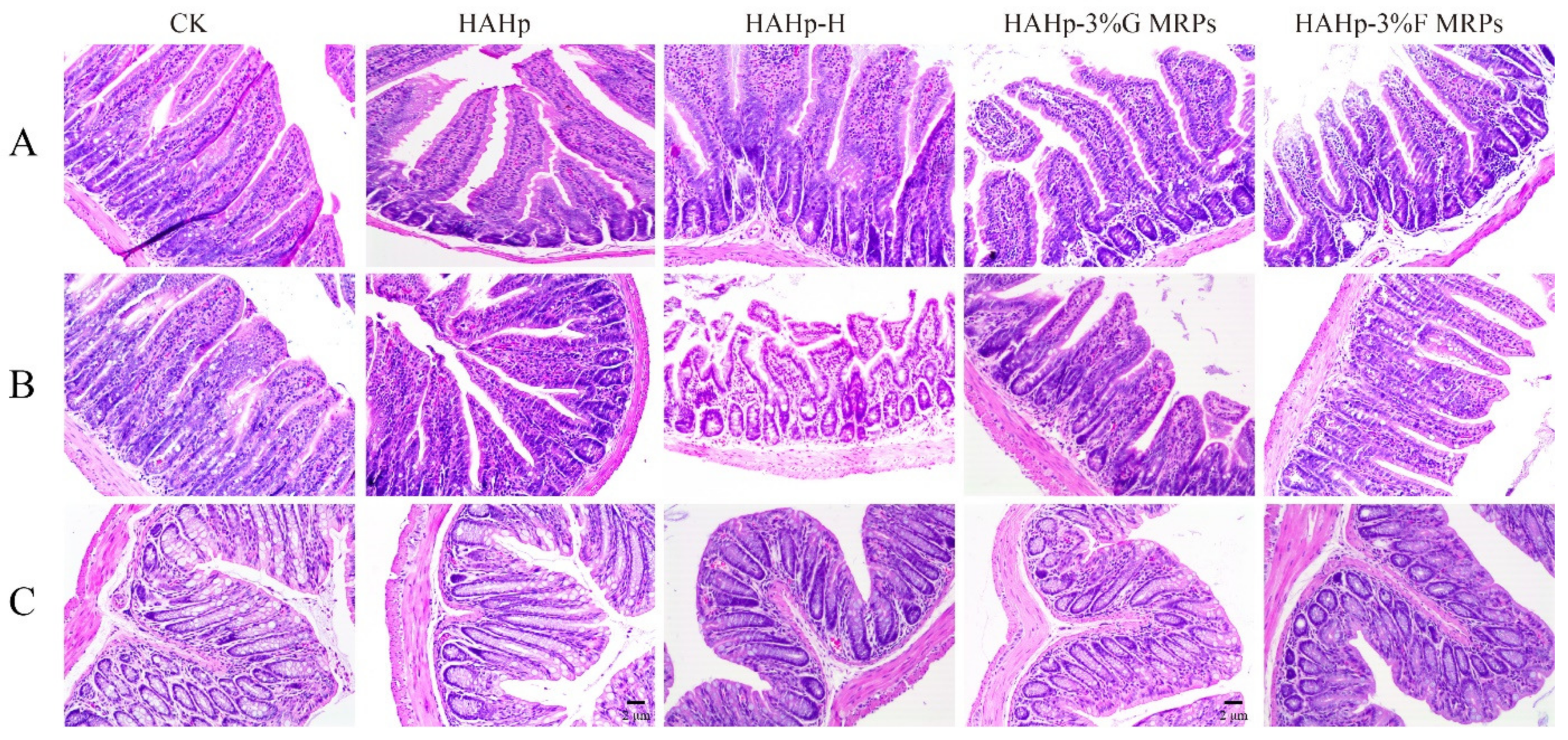 Ijms 24 02355 g002 Ijms 24 02355 g002