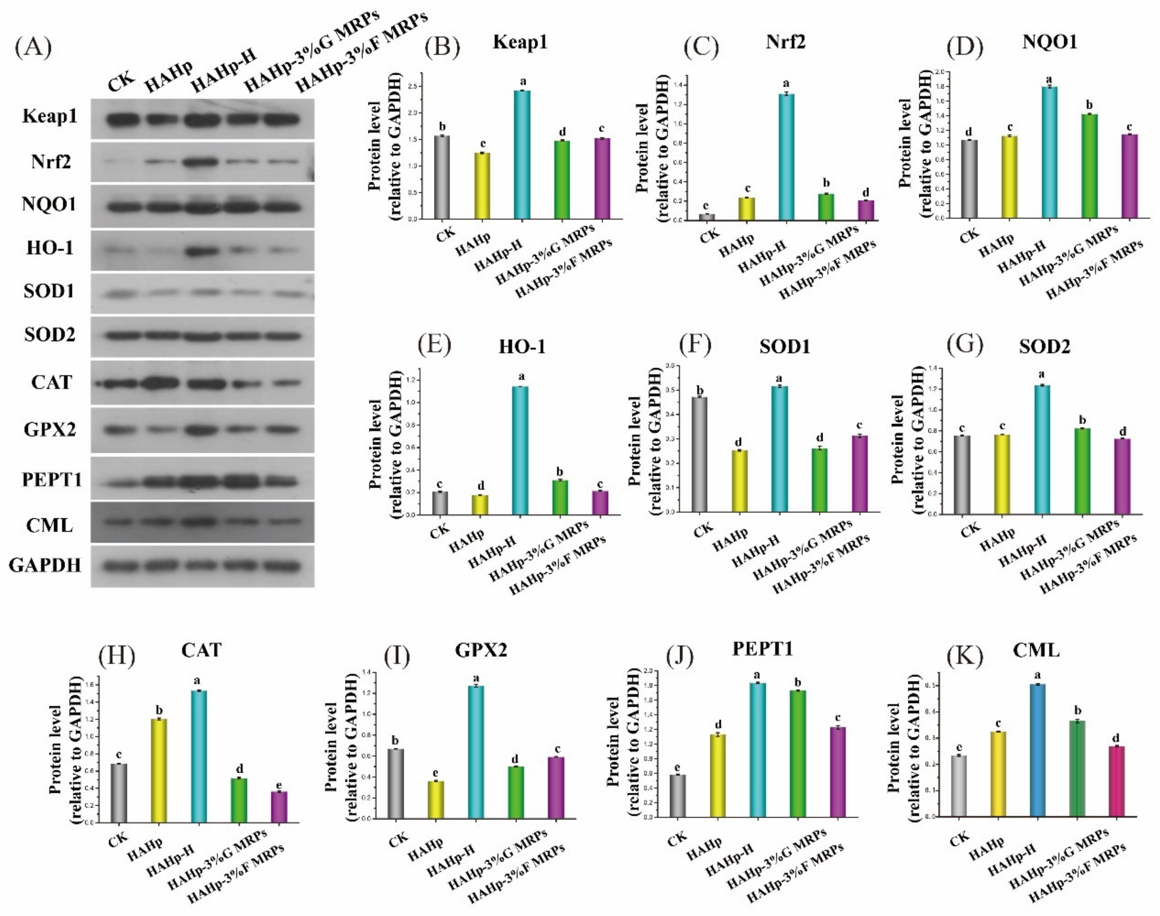 Ijms 24 02355 g006 Ijms 24 02355 g006