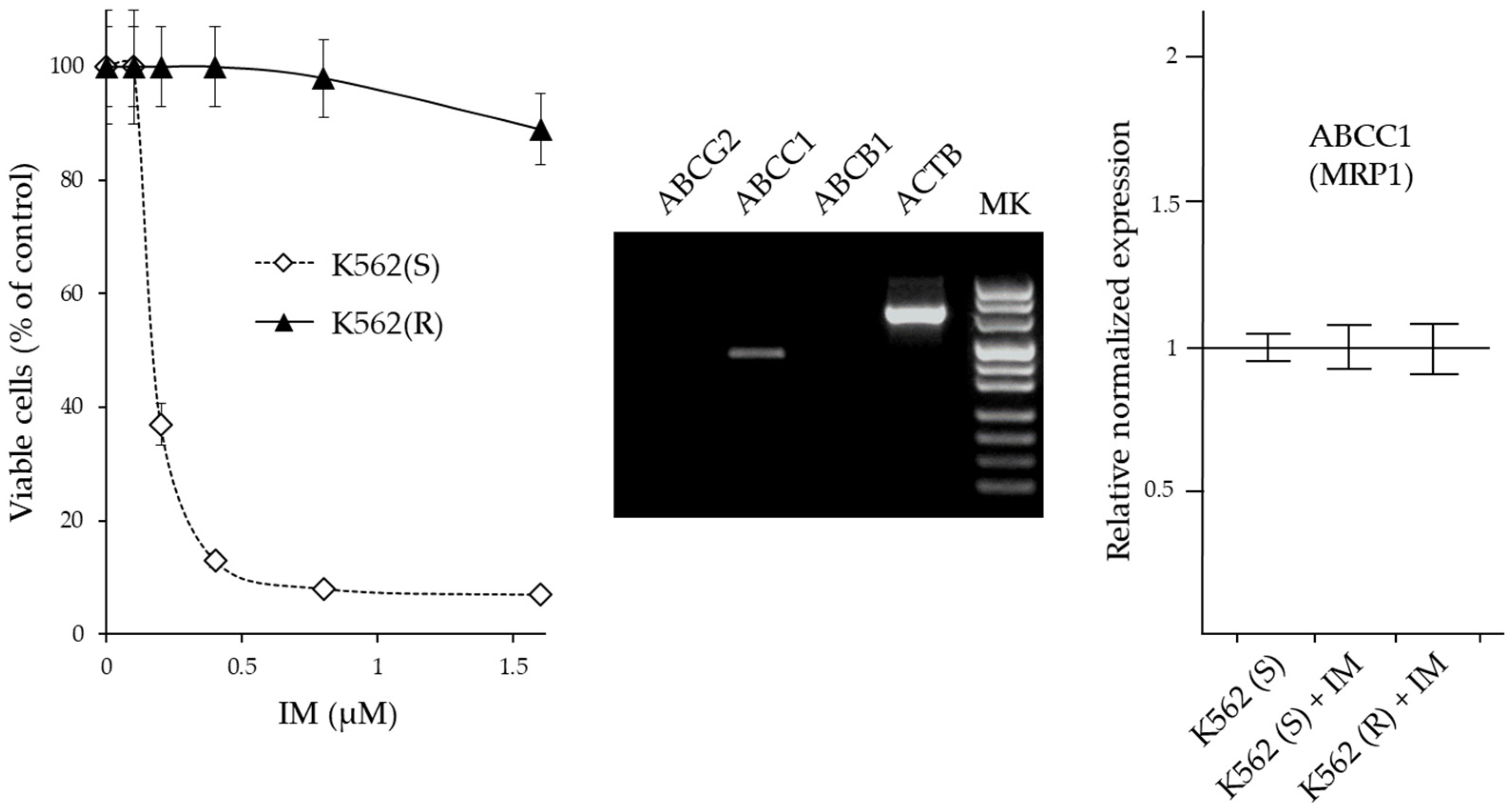 Ijms 24 02356 g005 Ijms 24 02356 g005