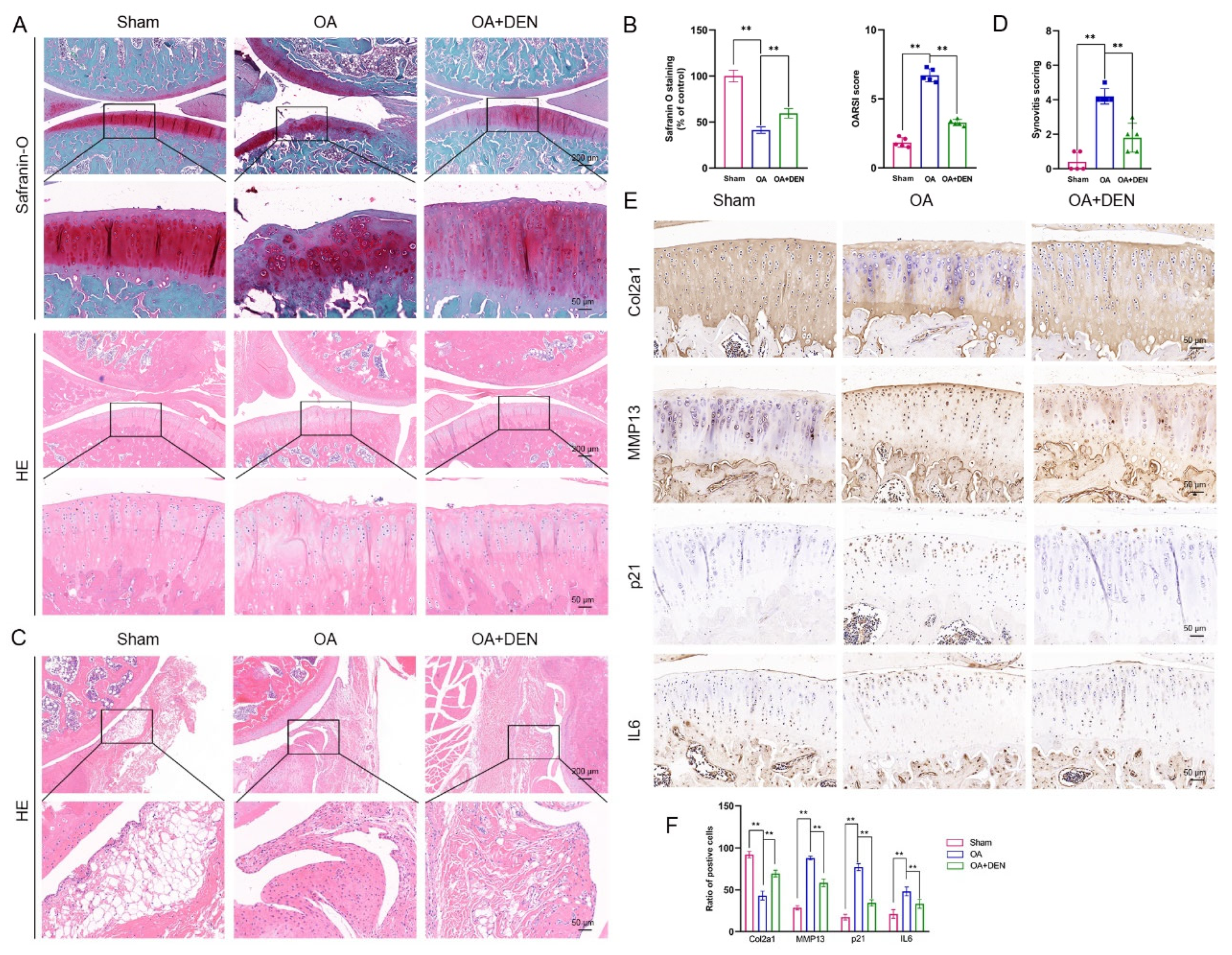 Ijms 24 02365 g008 Ijms 24 02365 g008