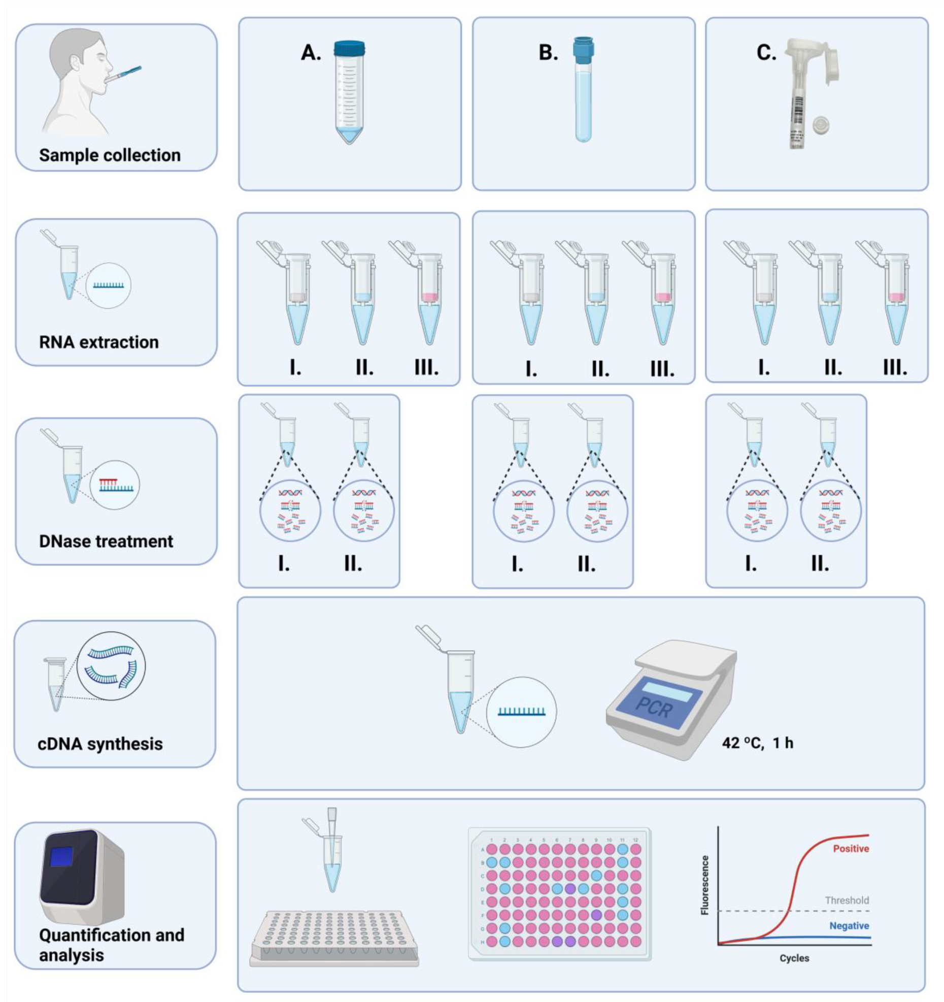 Ijms 24 02386 g001 Ijms 24 02386 g001