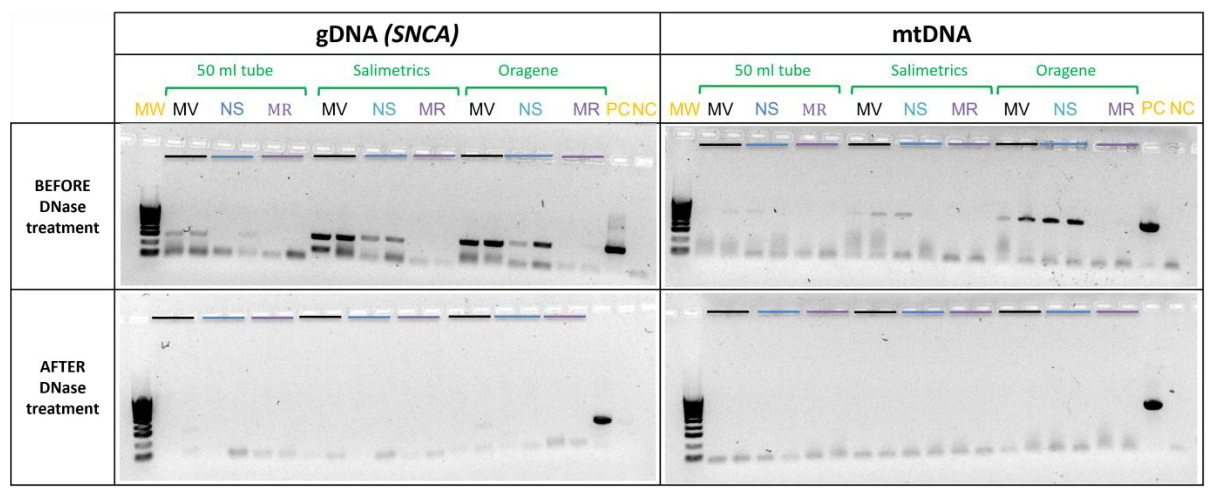 Ijms 24 02386 g003 Ijms 24 02386 g003