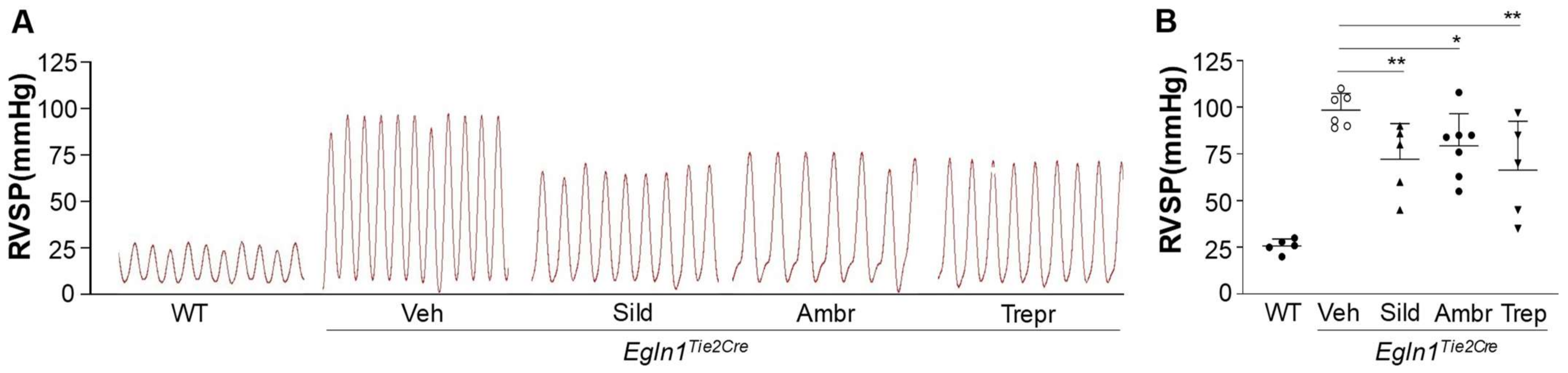 Ijms 24 02391 g002 Ijms 24 02391 g002