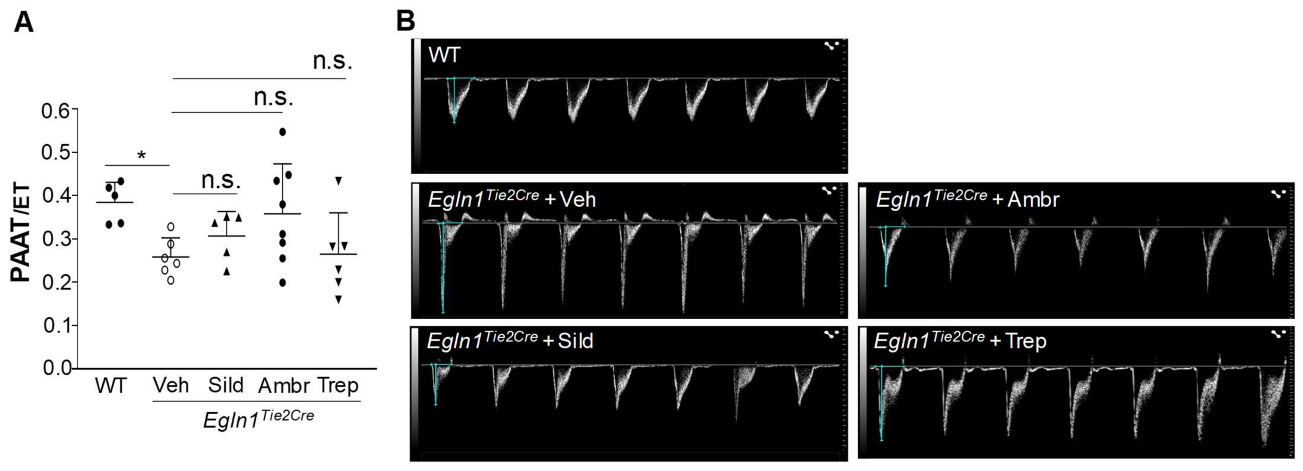Ijms 24 02391 g003 Ijms 24 02391 g003