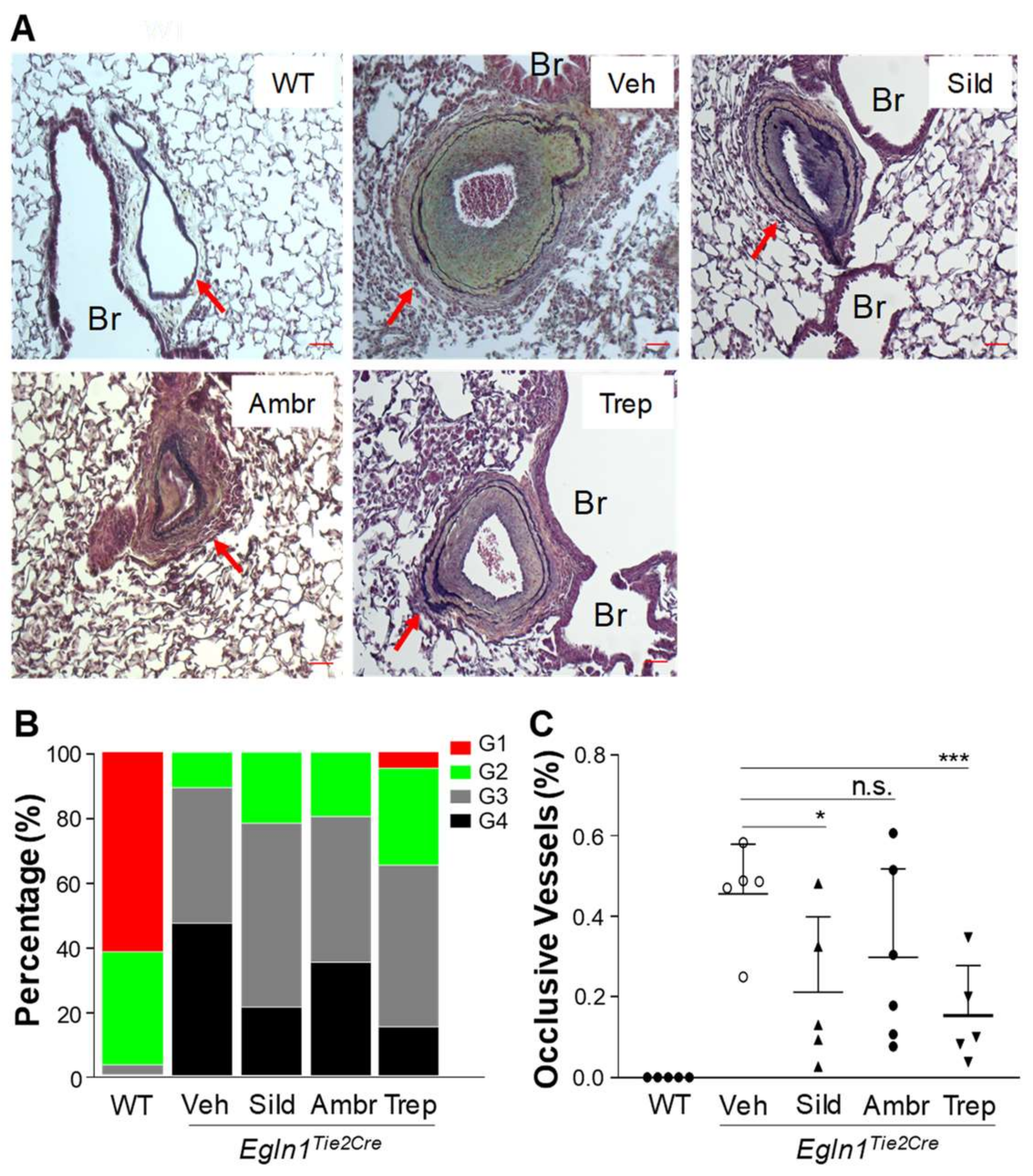 Ijms 24 02391 g005 Ijms 24 02391 g005