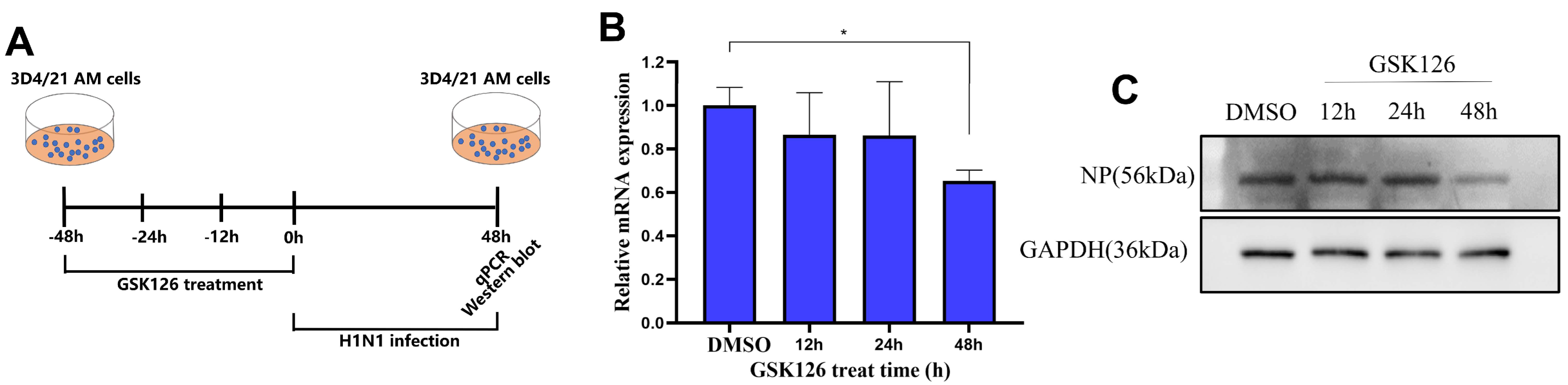 Ijms 24 02394 g003 Ijms 24 02394 g003