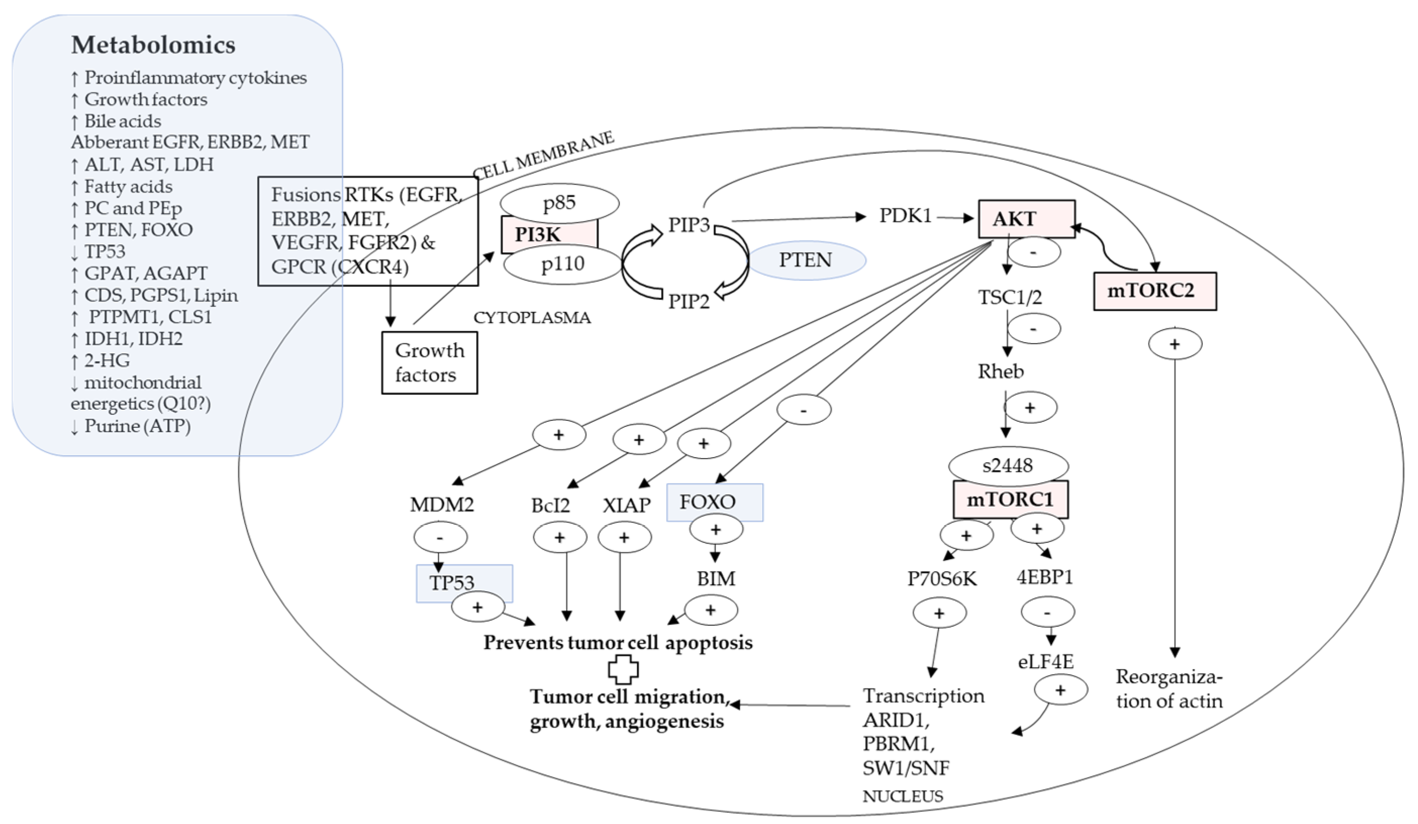 Ijms 24 02409 g002 Ijms 24 02409 g002