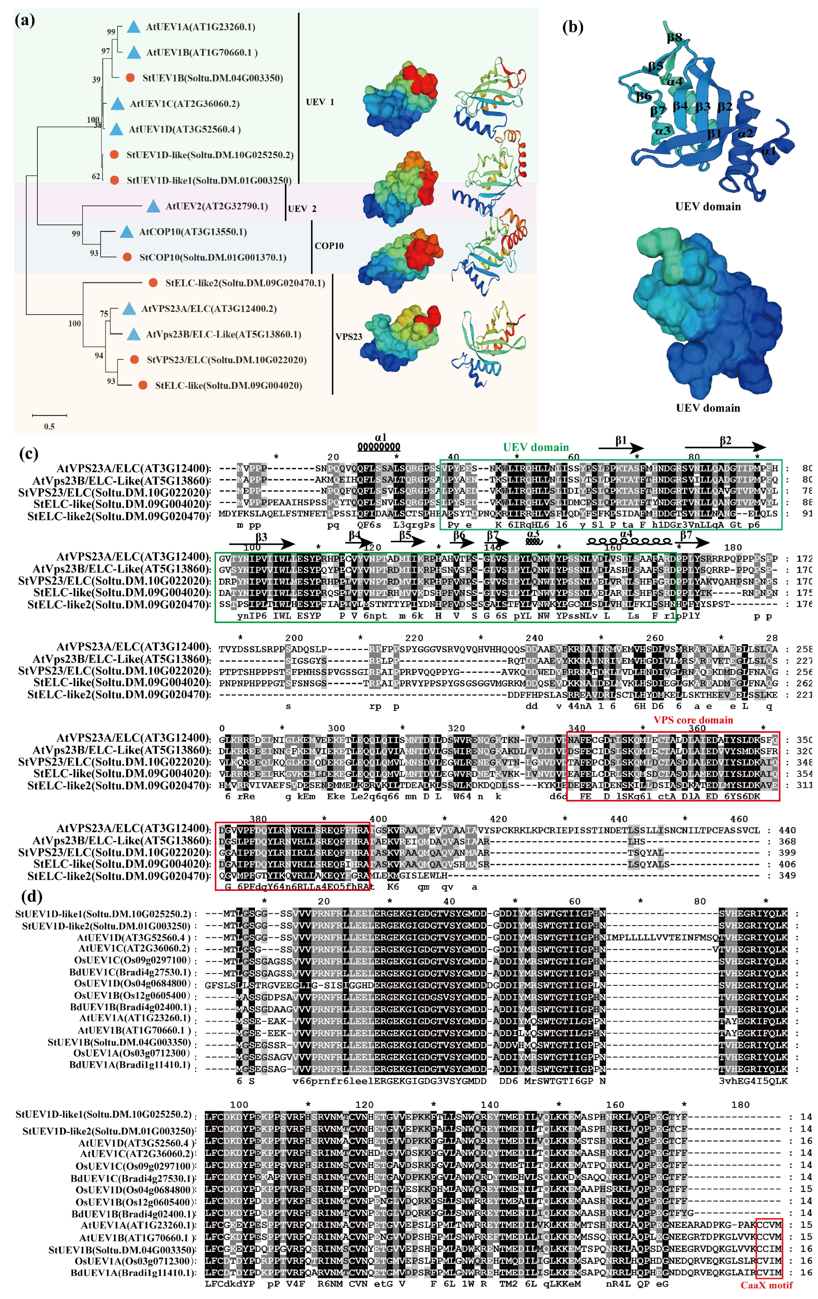 Ijms 24 02412 g001 Ijms 24 02412 g001
