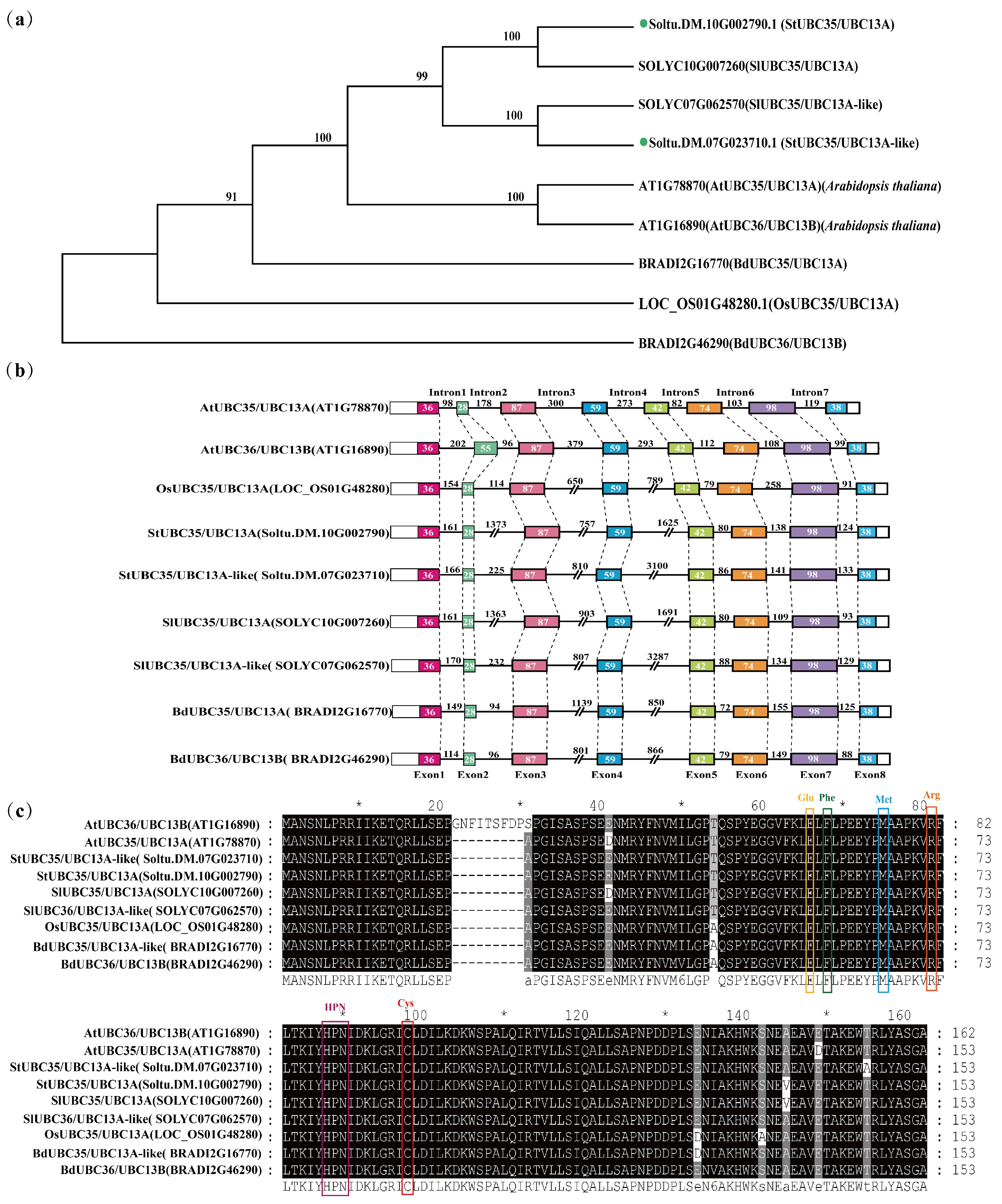 Ijms 24 02412 g003 Ijms 24 02412 g003