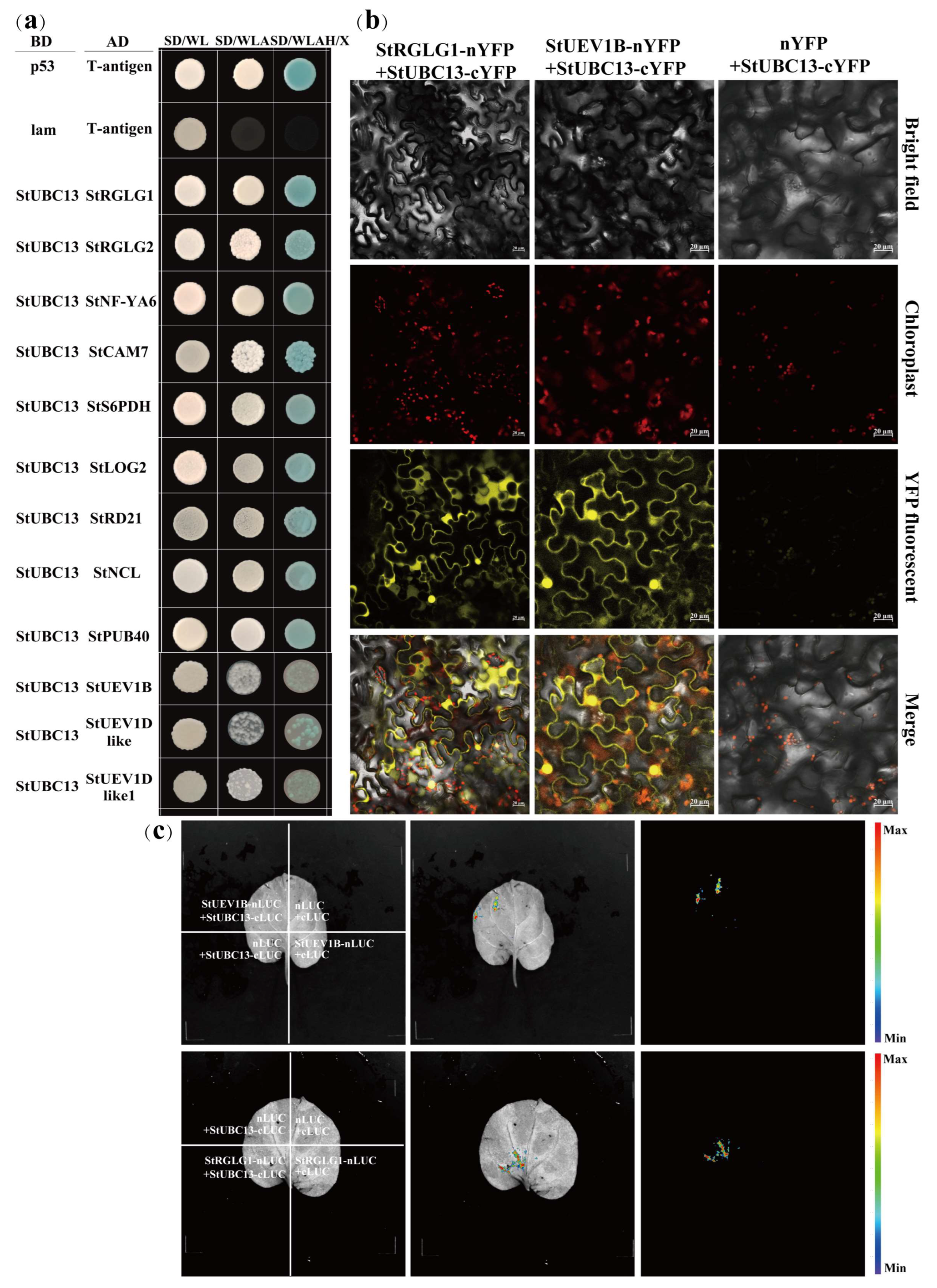Ijms 24 02412 g004 Ijms 24 02412 g004