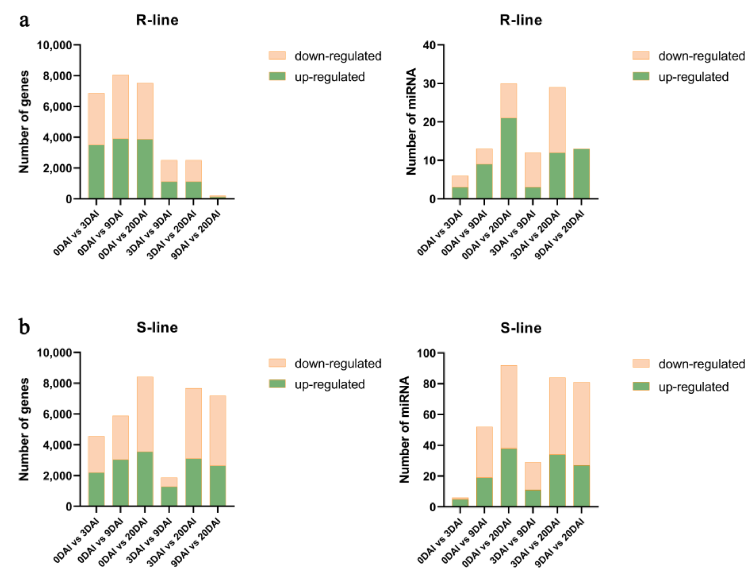 Ijms 24 02414 g003 Ijms 24 02414 g003