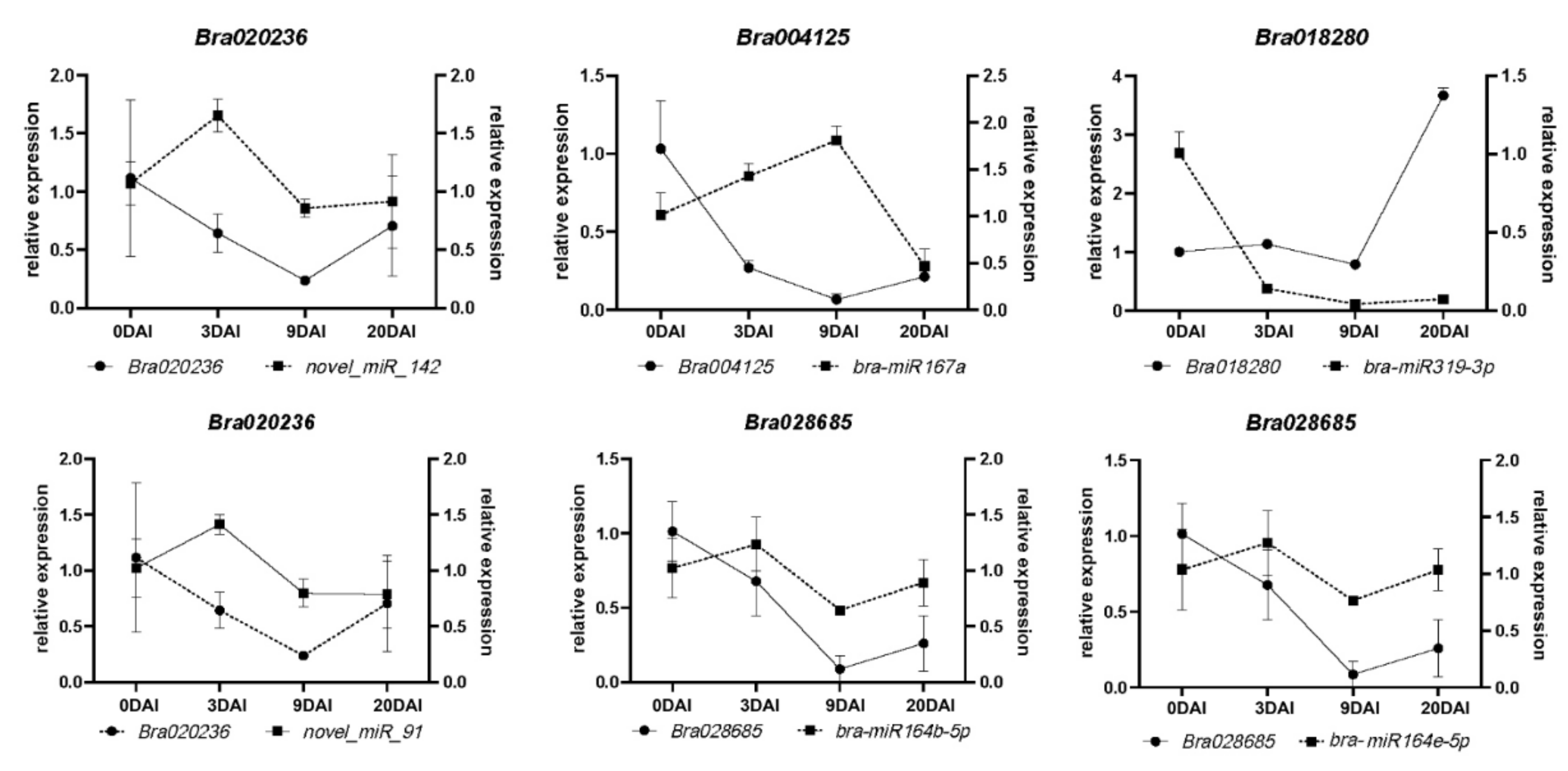 Ijms 24 02414 g006 Ijms 24 02414 g006