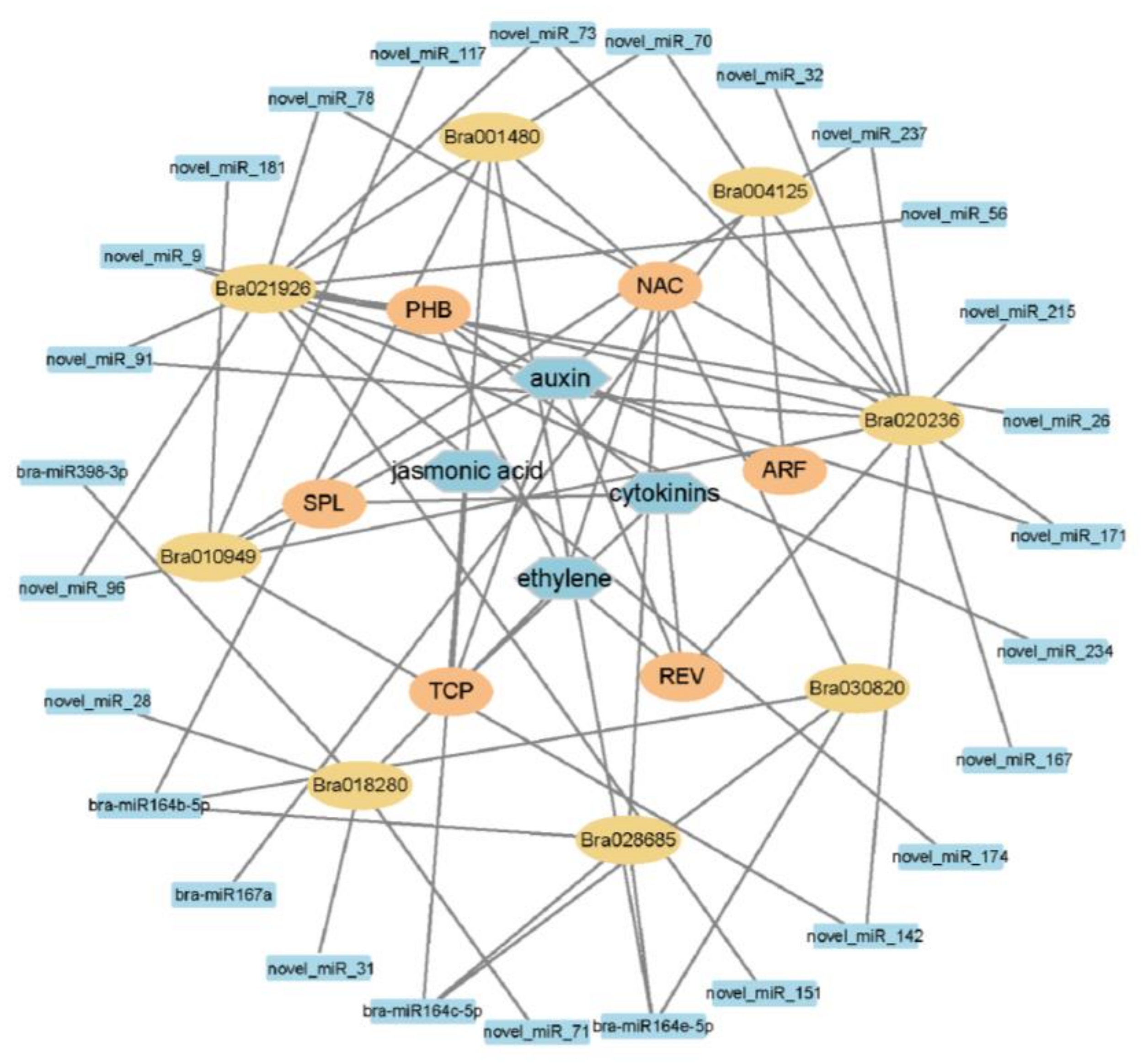 Ijms 24 02414 g007 Ijms 24 02414 g007