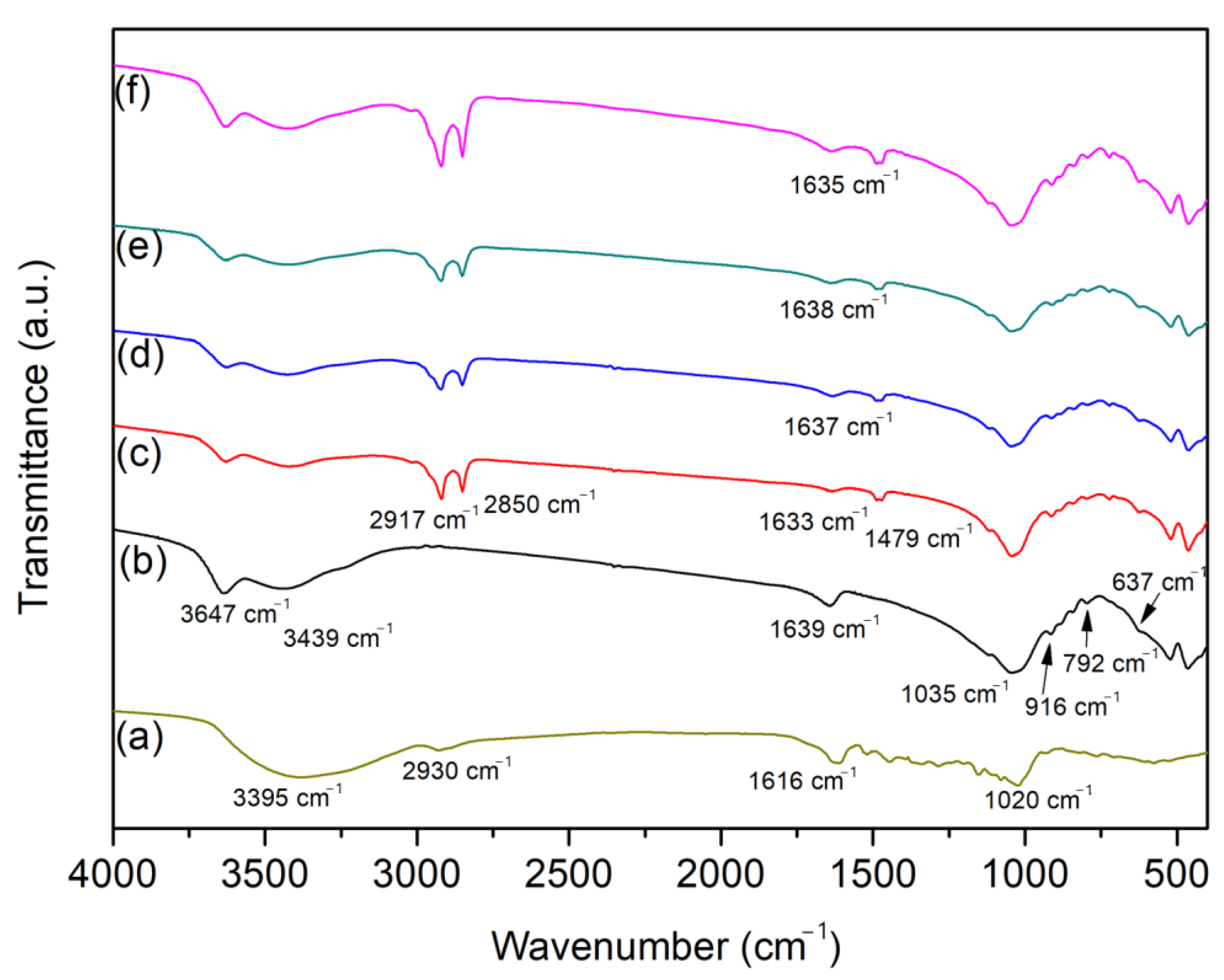 Ijms 24 02417 g002 Ijms 24 02417 g002