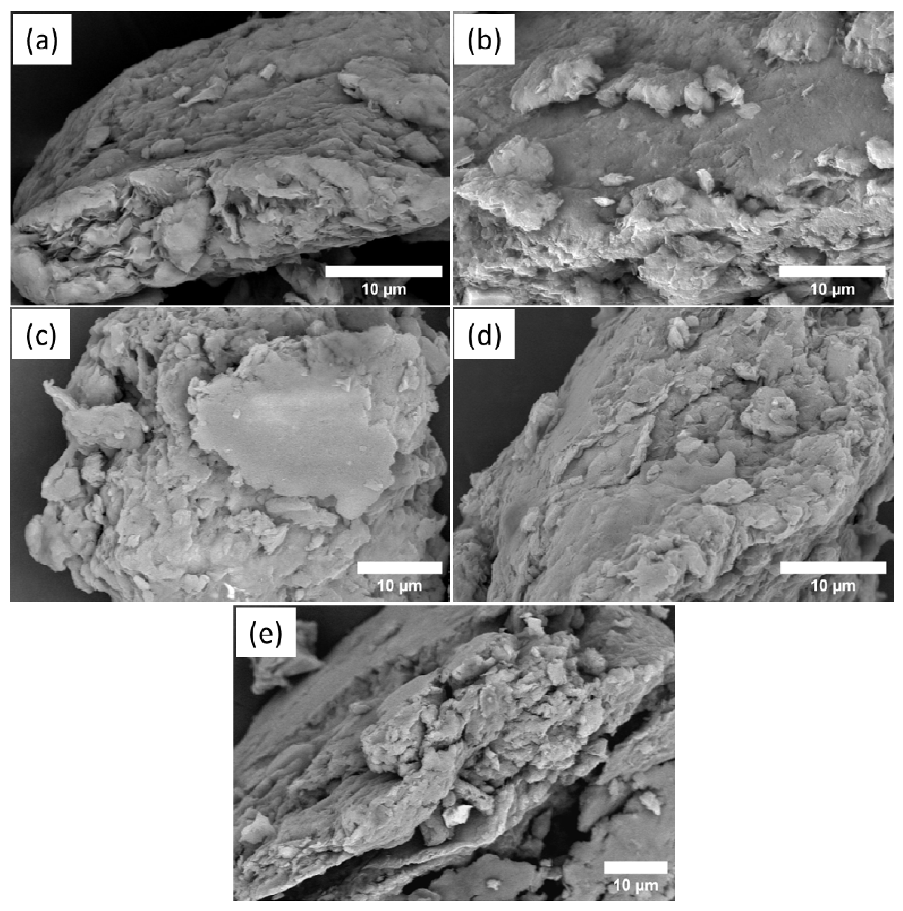 Ijms 24 02417 g003 Ijms 24 02417 g003