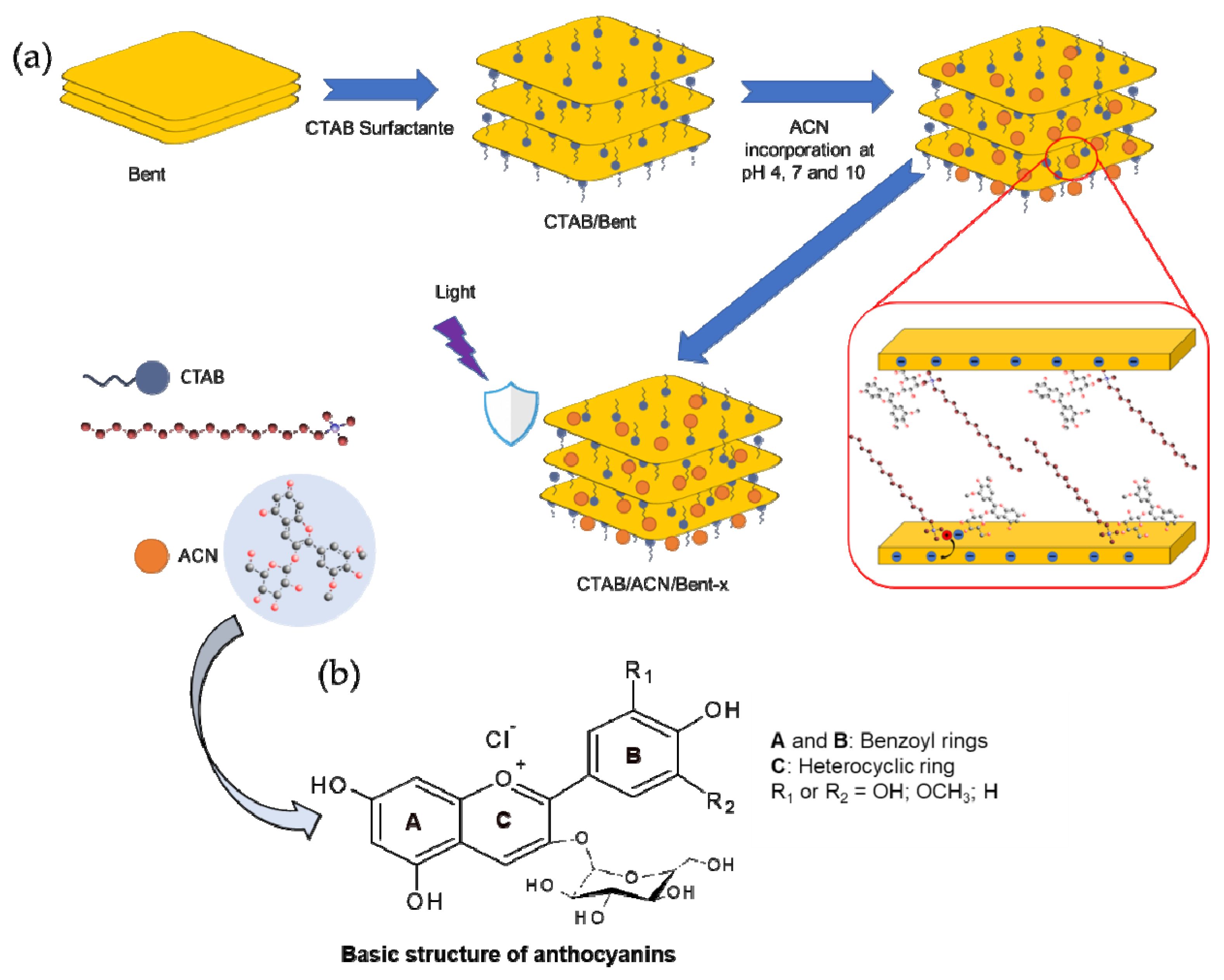 Ijms 24 02417 g006 Ijms 24 02417 g006