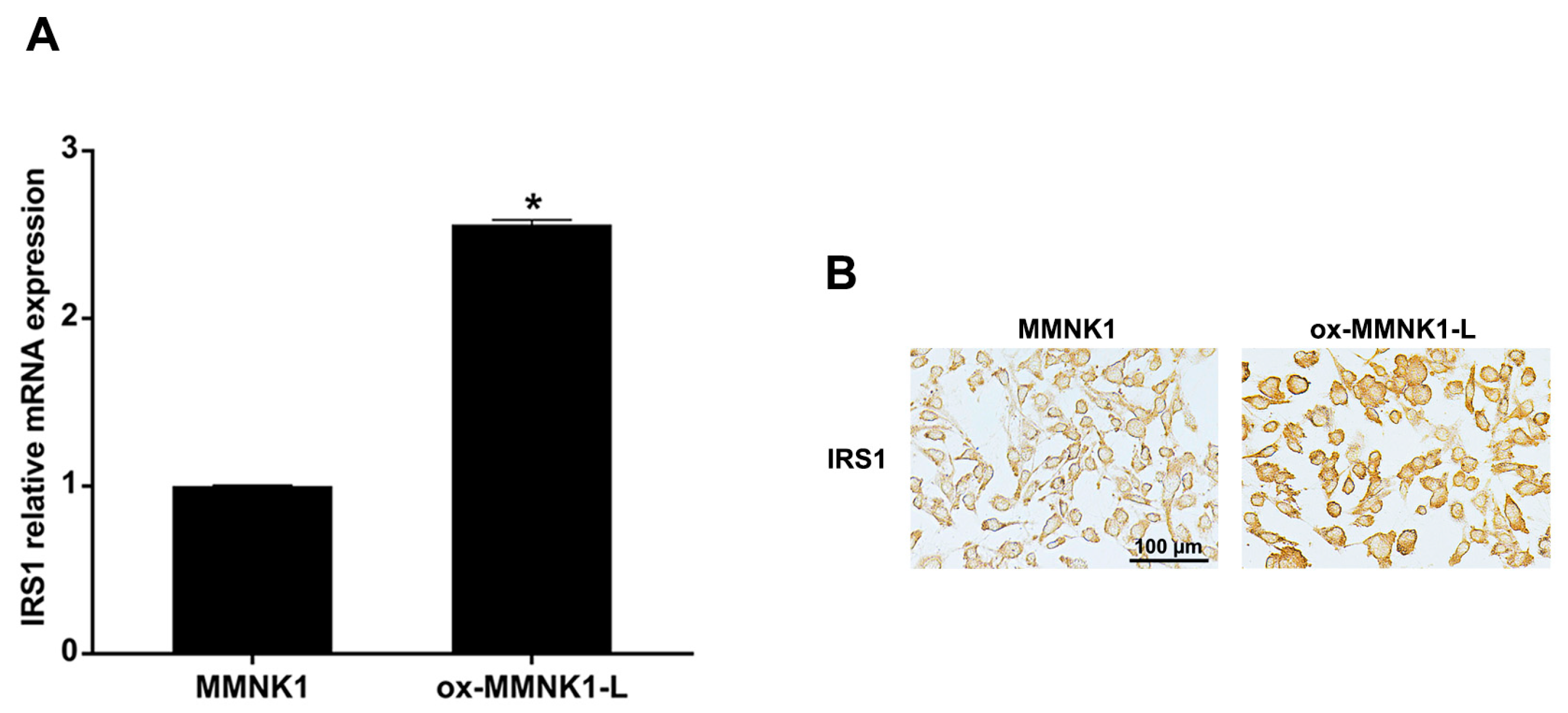 Ijms 24 02428 g003 Ijms 24 02428 g003