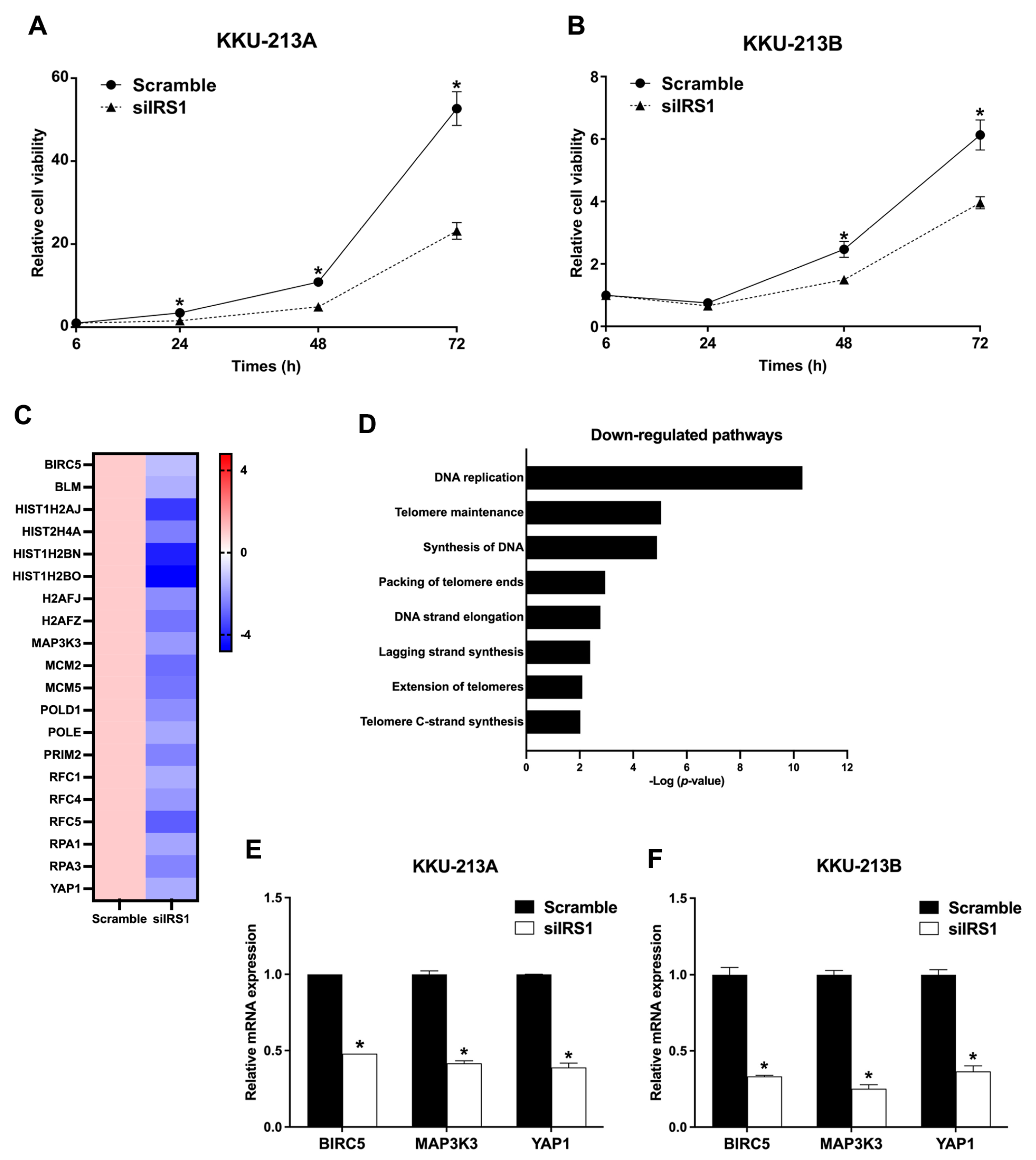 Ijms 24 02428 g005 Ijms 24 02428 g005