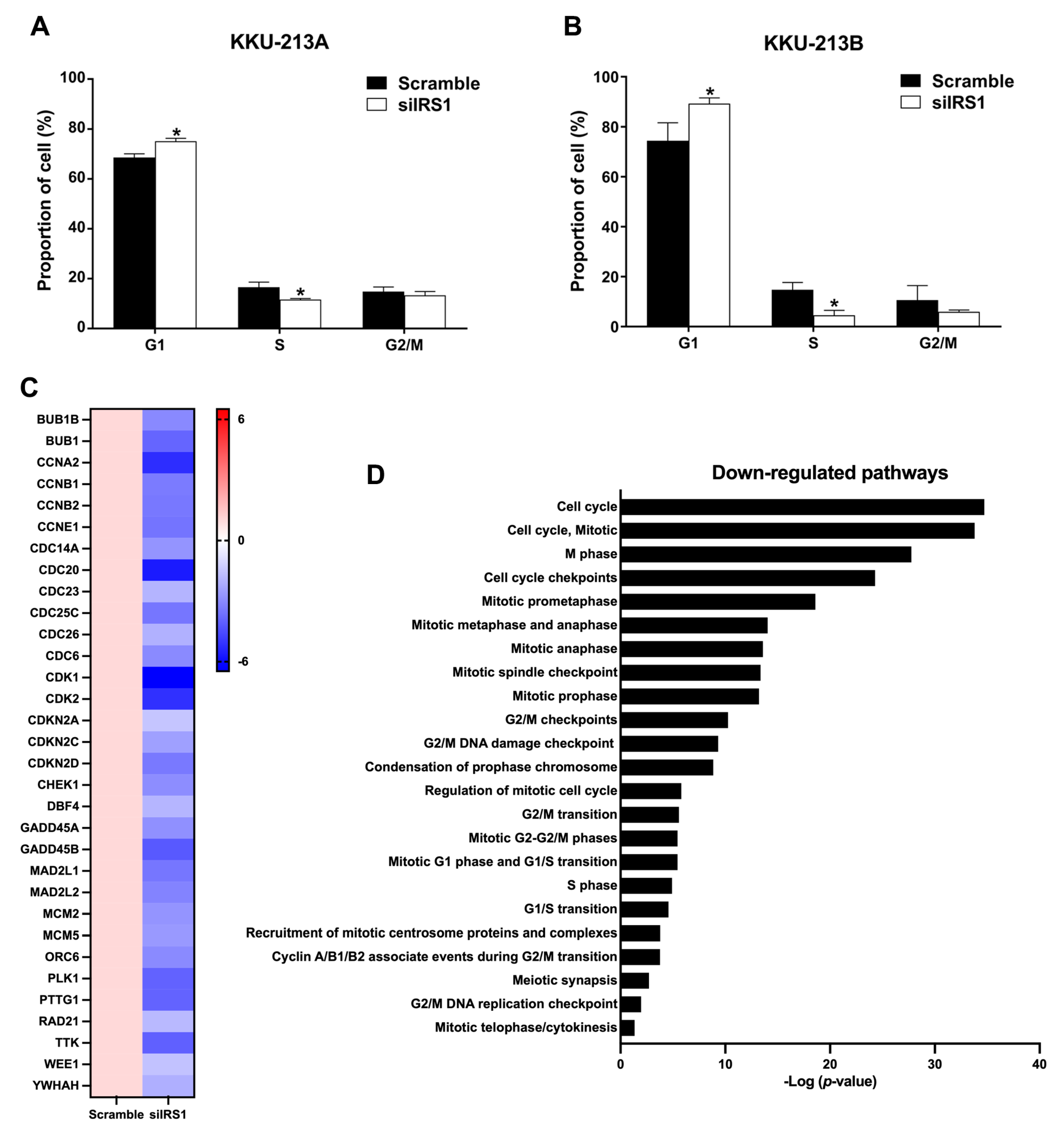 Ijms 24 02428 g006 Ijms 24 02428 g006