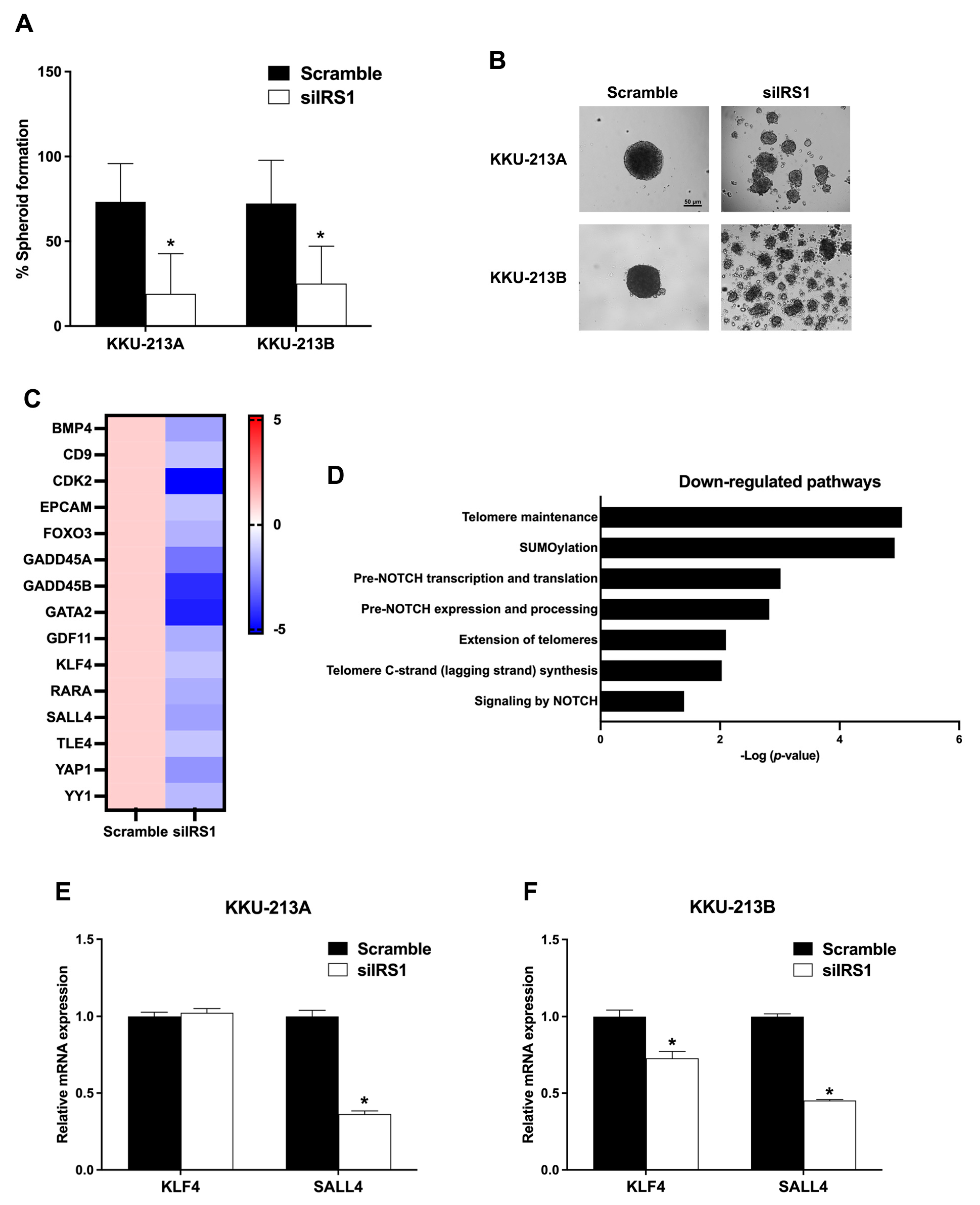 Ijms 24 02428 g007 Ijms 24 02428 g007
