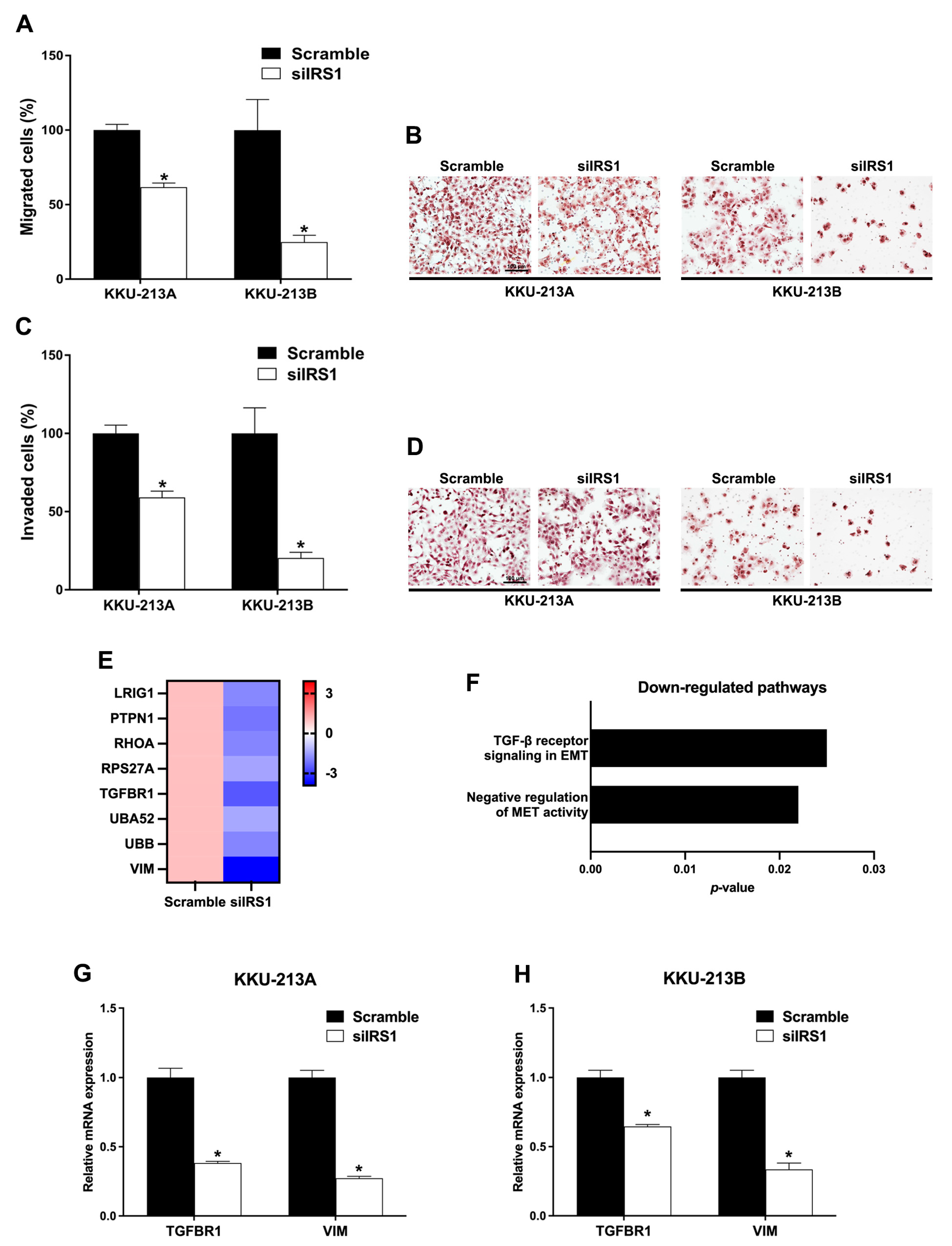 Ijms 24 02428 g008 Ijms 24 02428 g008
