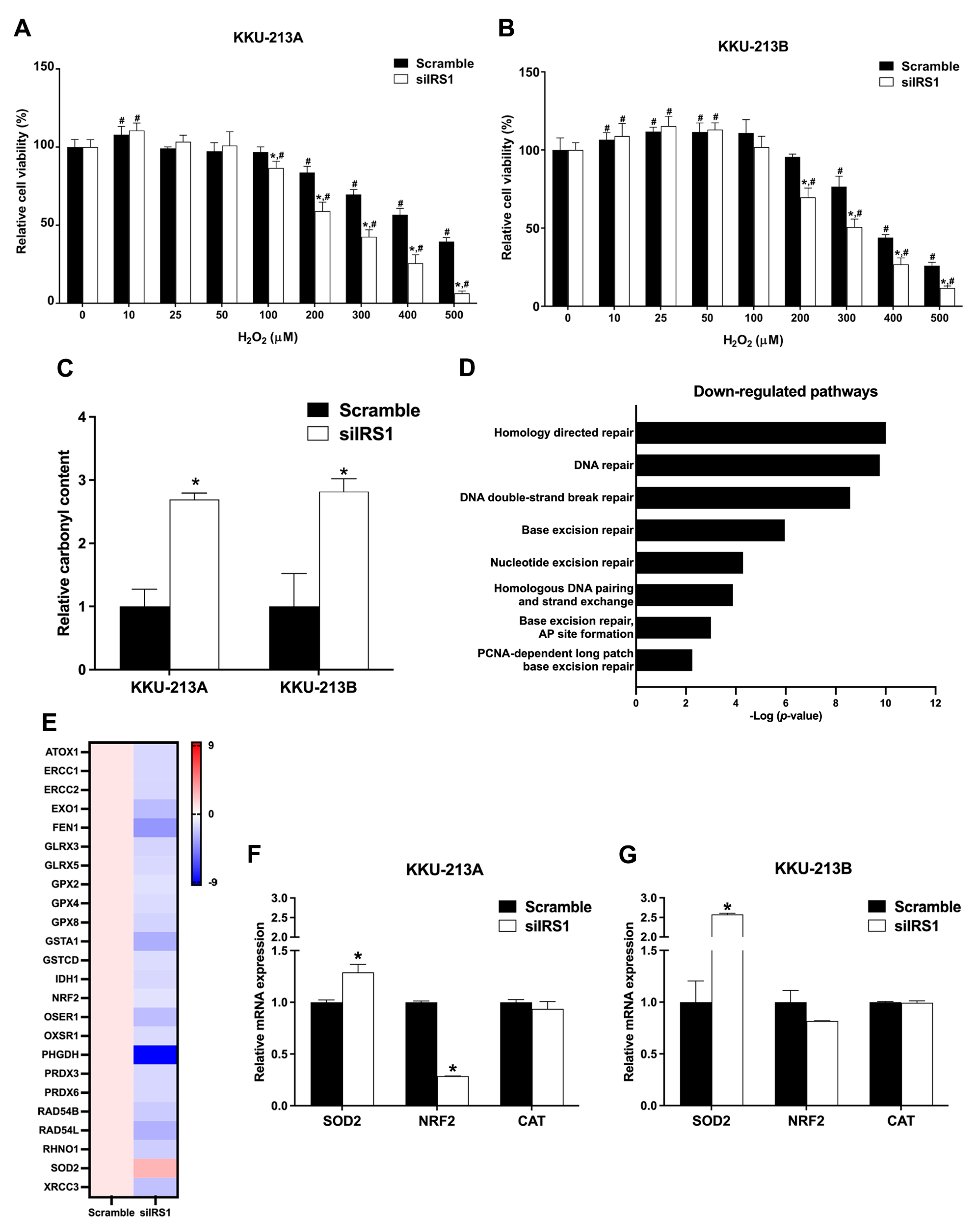 Ijms 24 02428 g009 Ijms 24 02428 g009