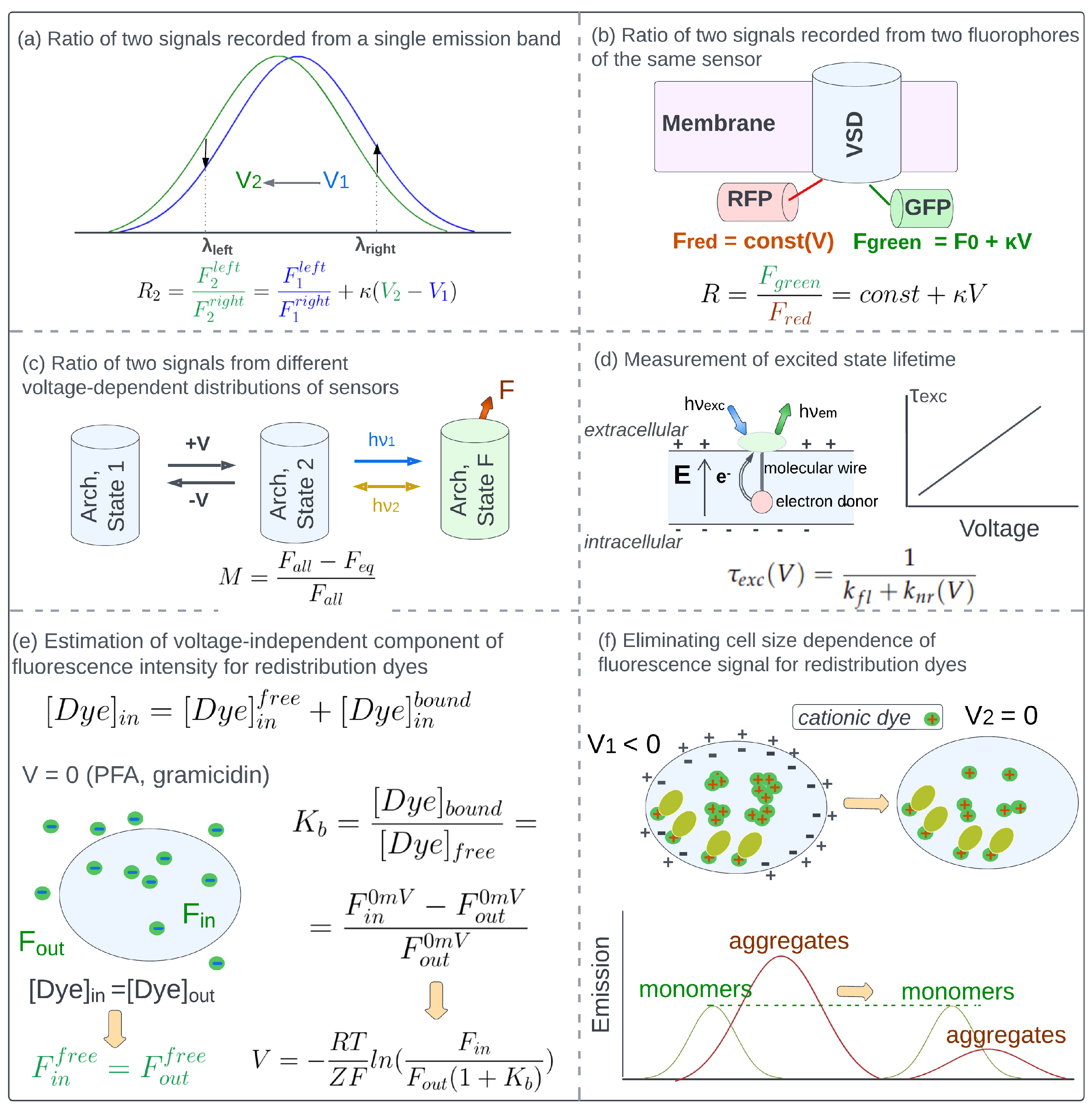 Ijms 24 02435 g002 Ijms 24 02435 g002
