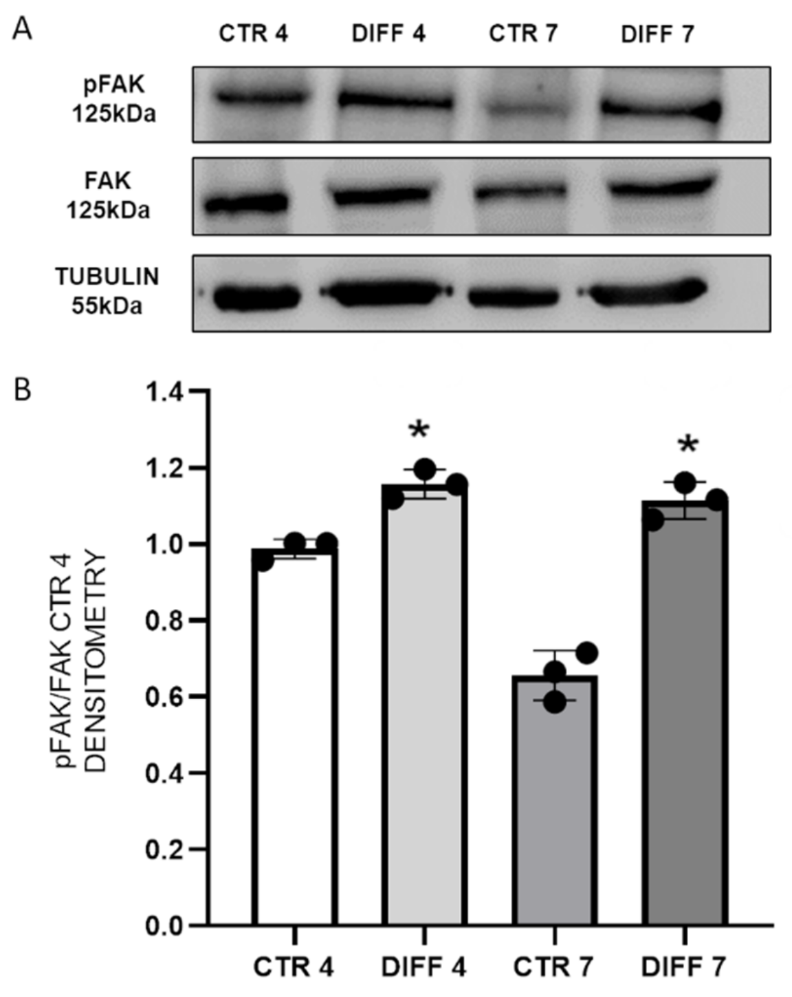 Ijms 24 02444 g002 Ijms 24 02444 g002