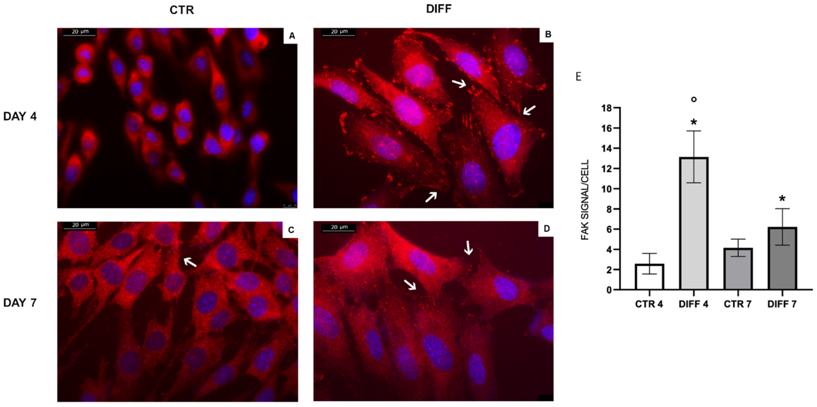 Ijms 24 02444 g003 Ijms 24 02444 g003