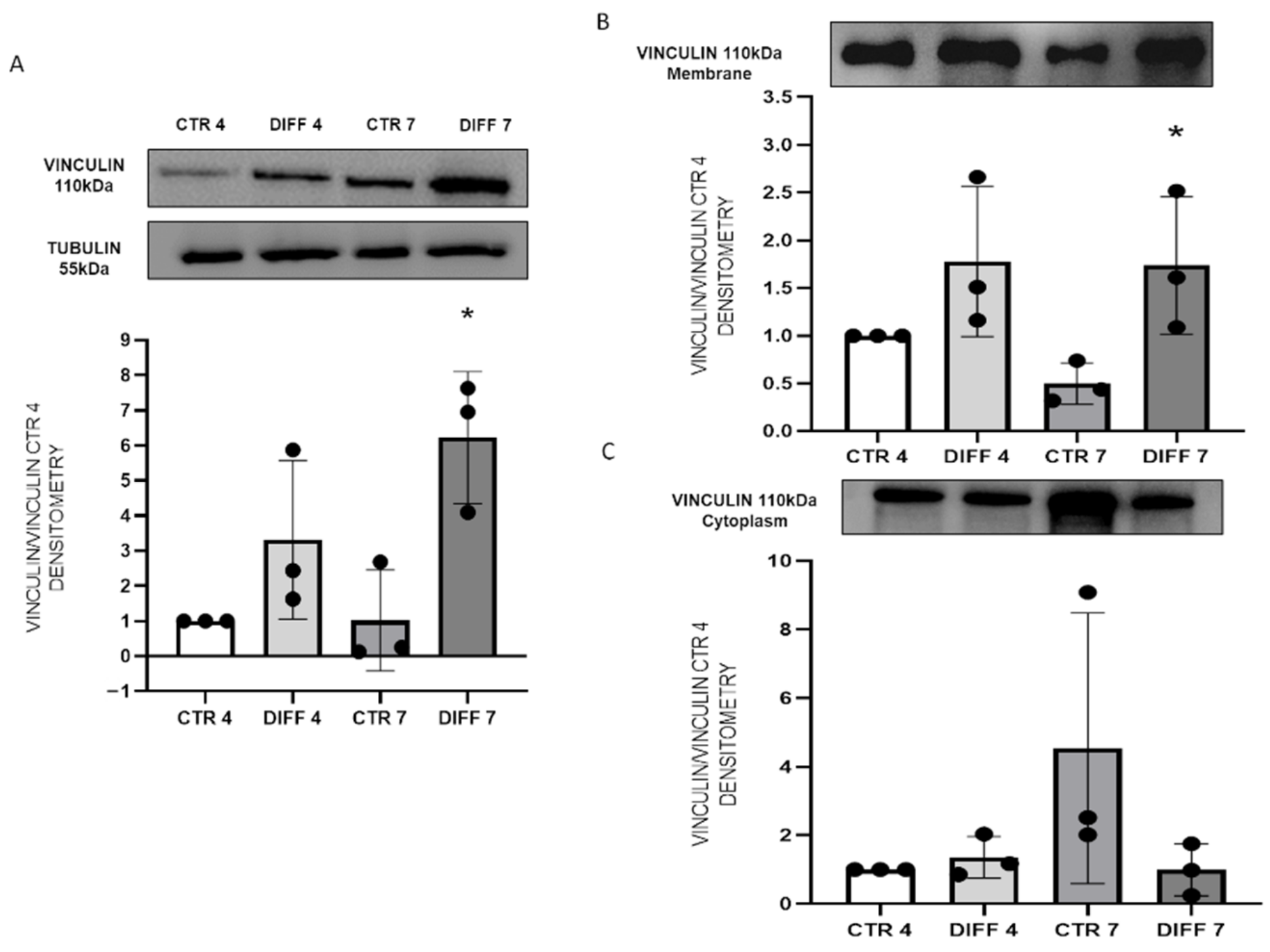 Ijms 24 02444 g004 Ijms 24 02444 g004