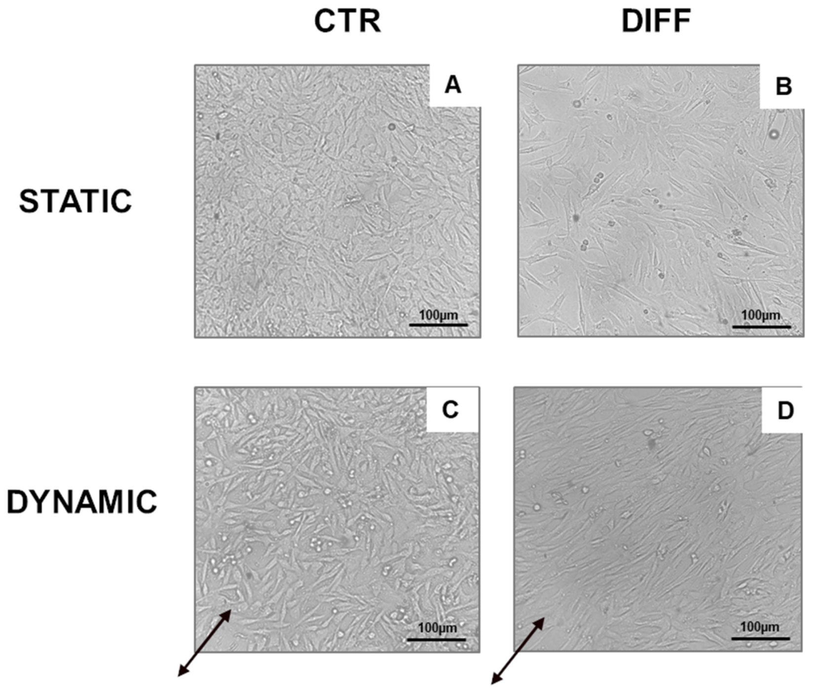 Ijms 24 02444 g007 Ijms 24 02444 g007