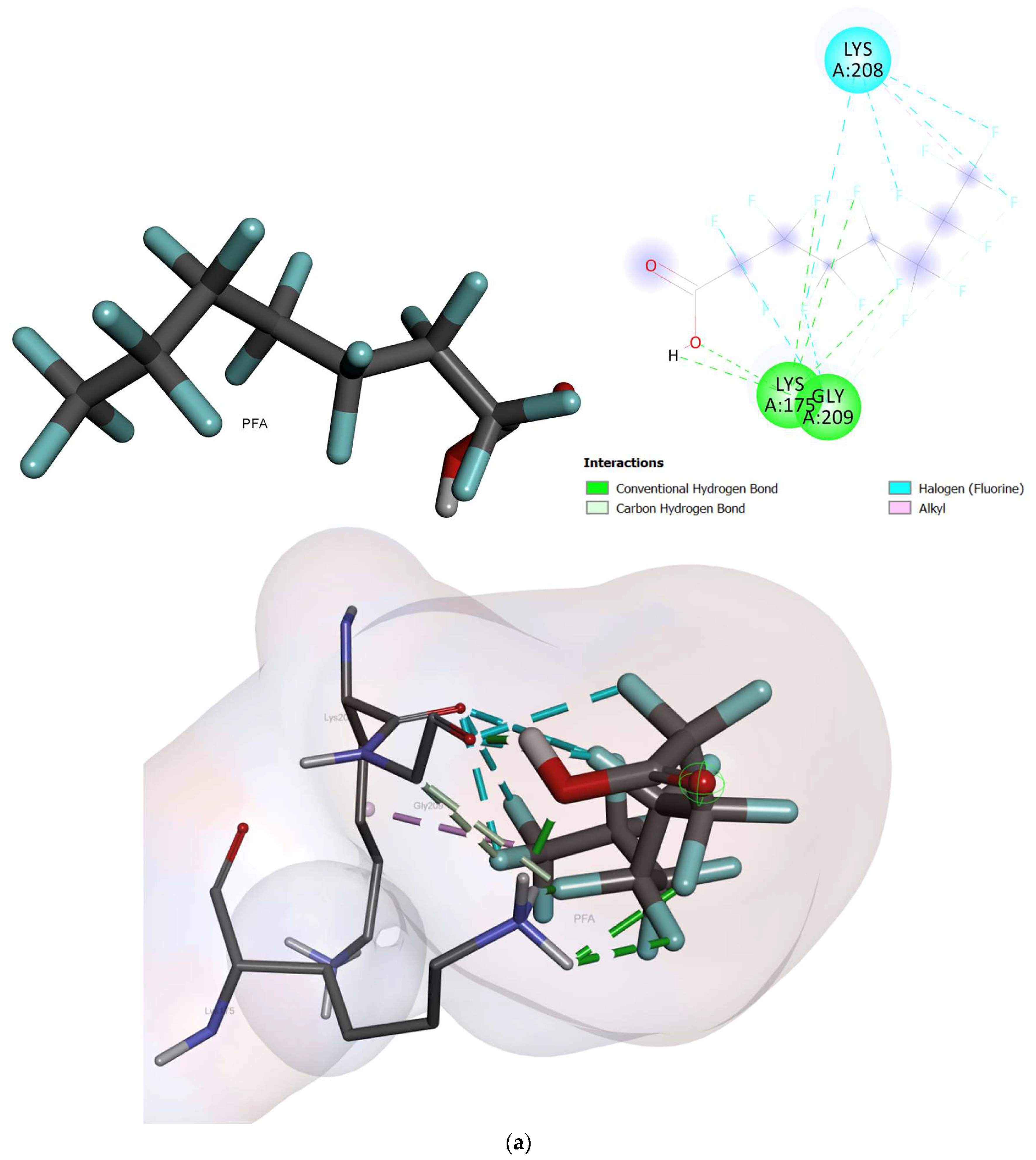 Ijms 24 02446 g005a Ijms 24 02446 g005a