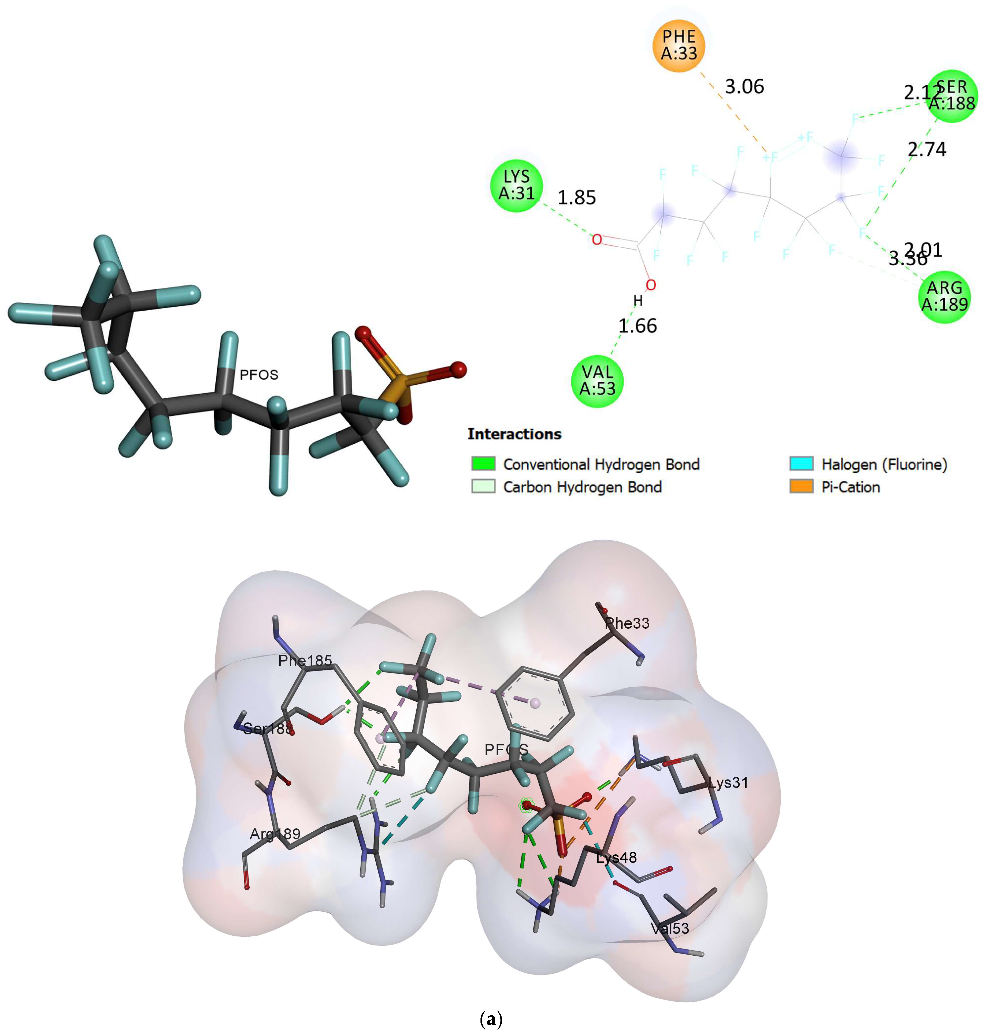 Ijms 24 02446 g006a Ijms 24 02446 g006a