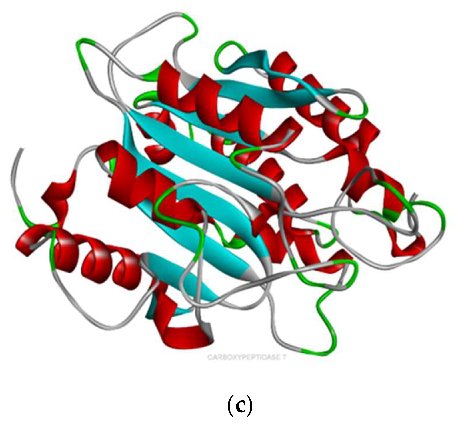 Ijms 24 02446 g007b Ijms 24 02446 g007b